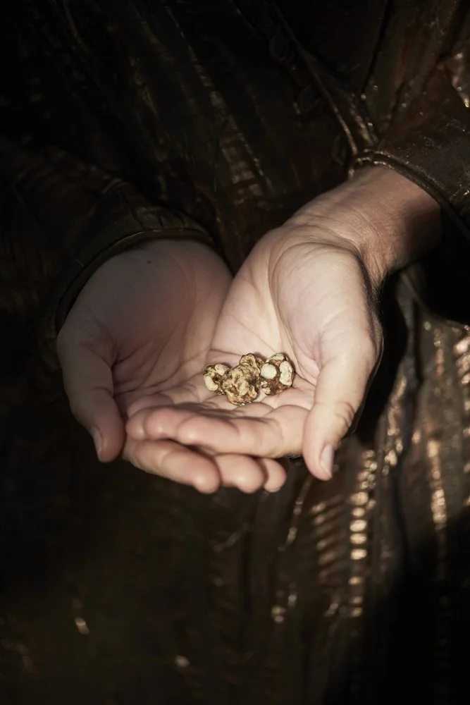  Spiritual Brand Shoot - Plant Medicine Ceremony by Marjon Hoogervorst 