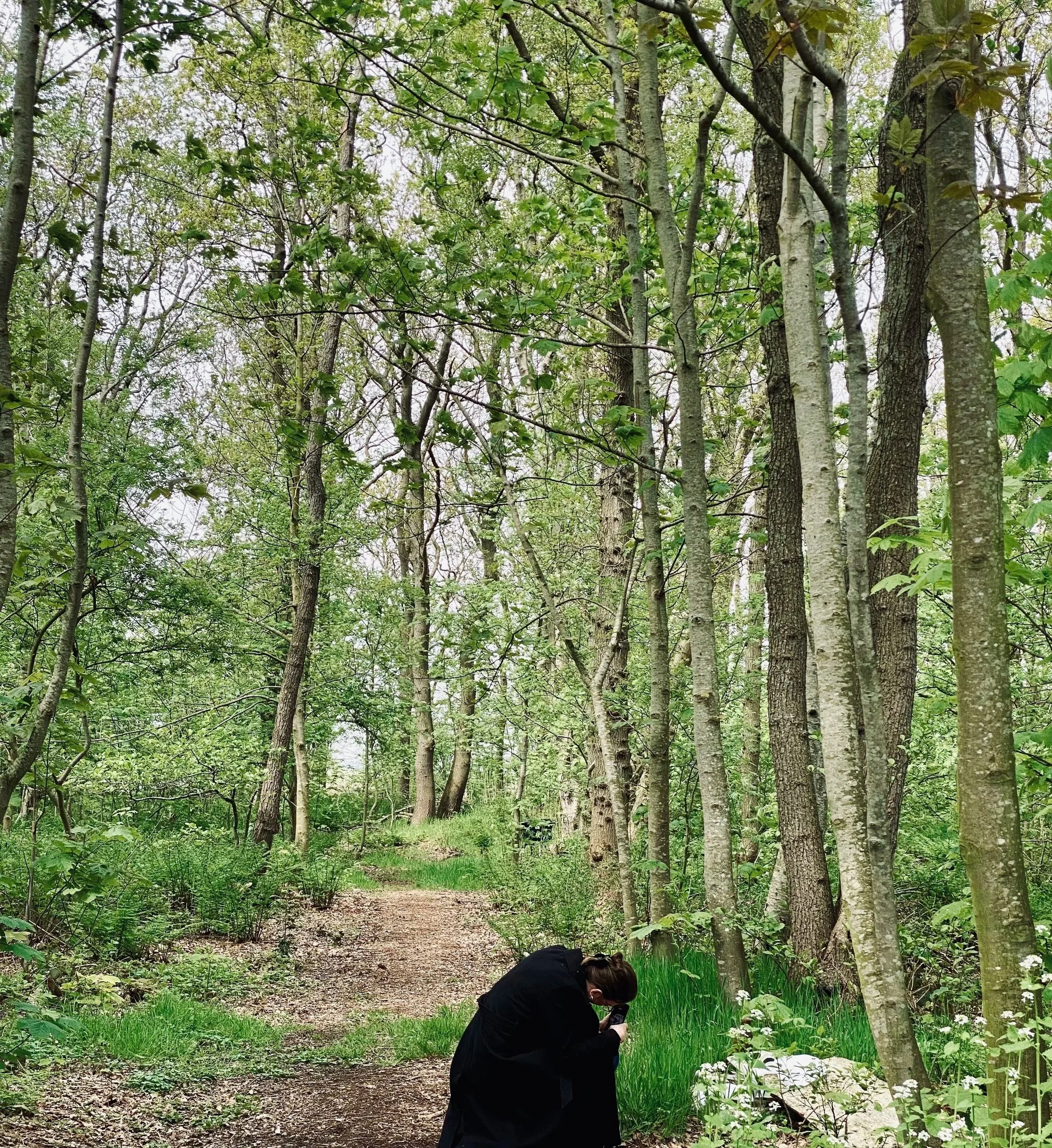 LETTER: Welcome in our woods