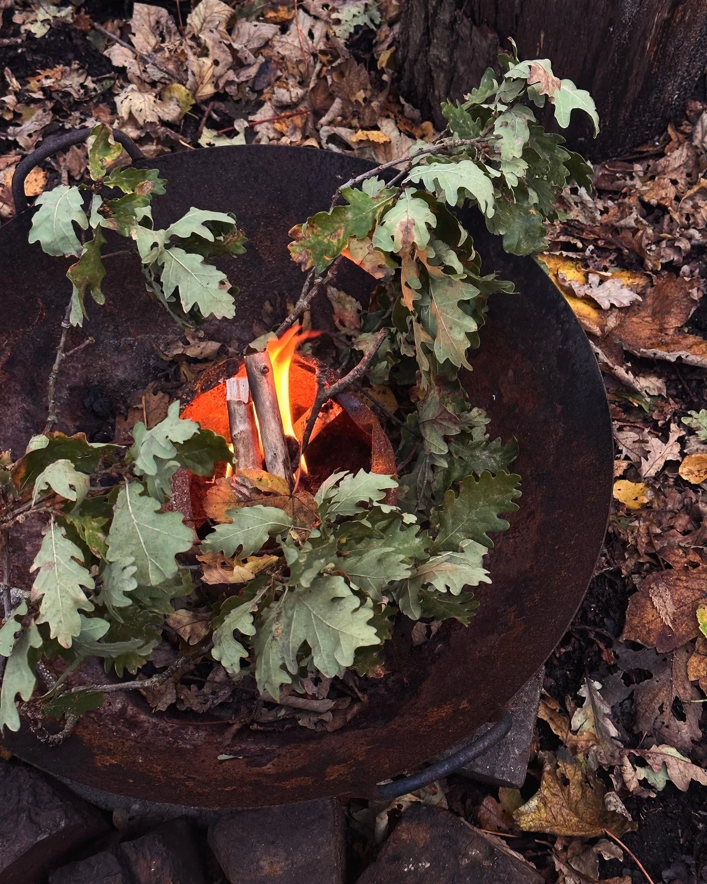 Blauwdruk Reset 001.jpg