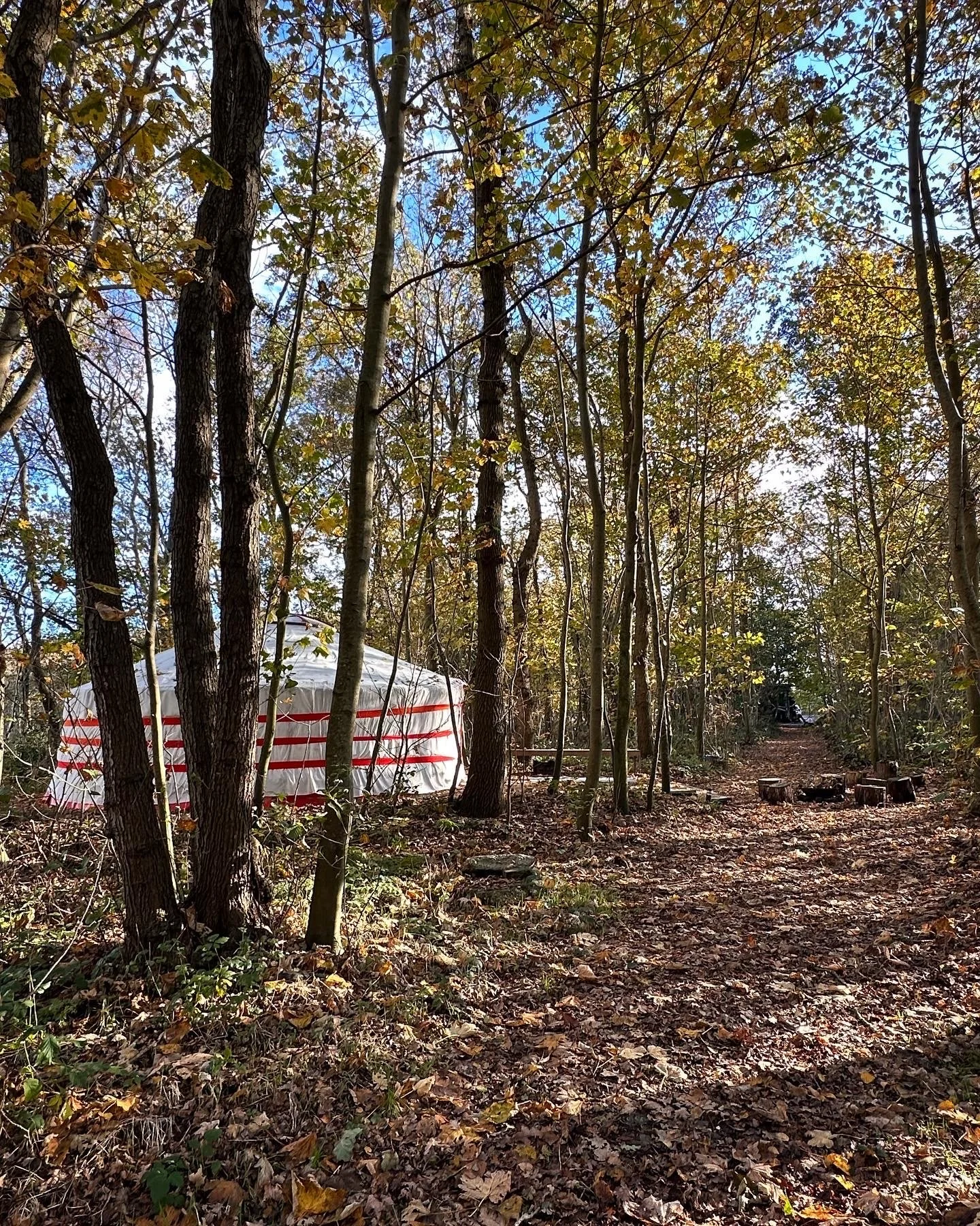 Blauwdruk Reset 002.jpg