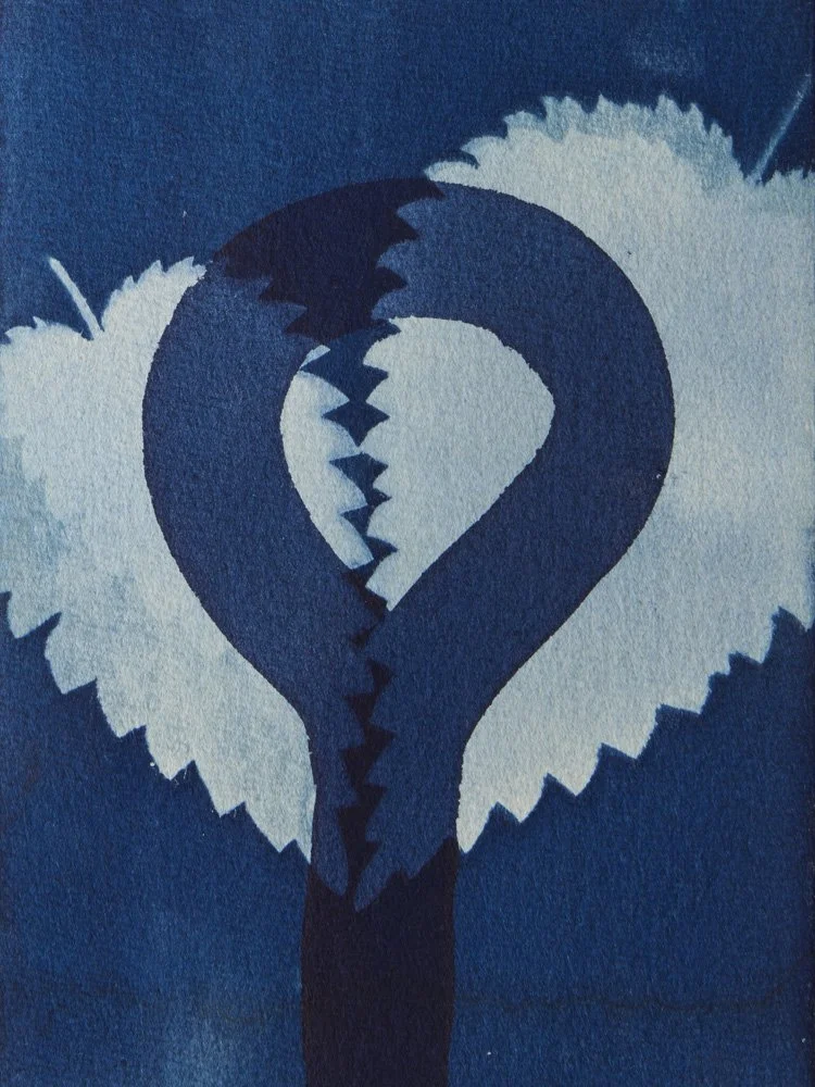 CyanotypeKaarten56.jpg
