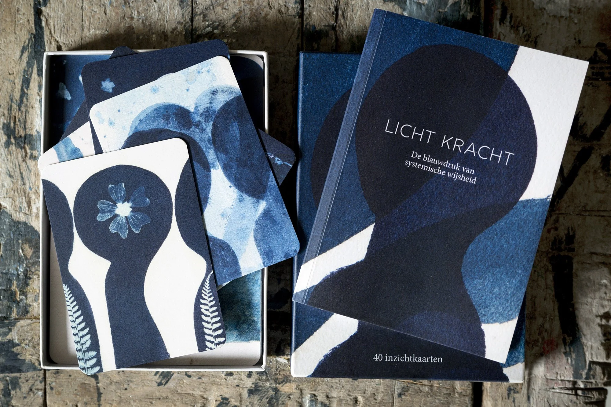 LICHT KRACHT Foto's voor publicatie010.jpg
