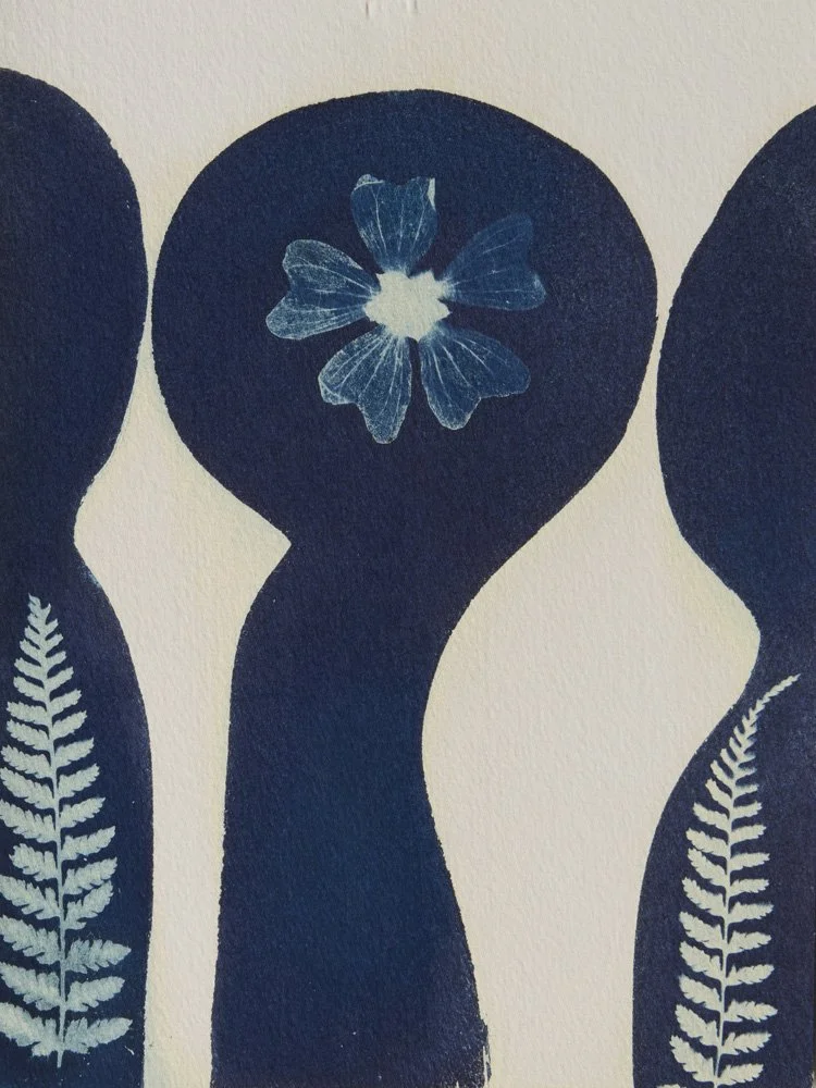 CyanotypeKaarten18.jpg