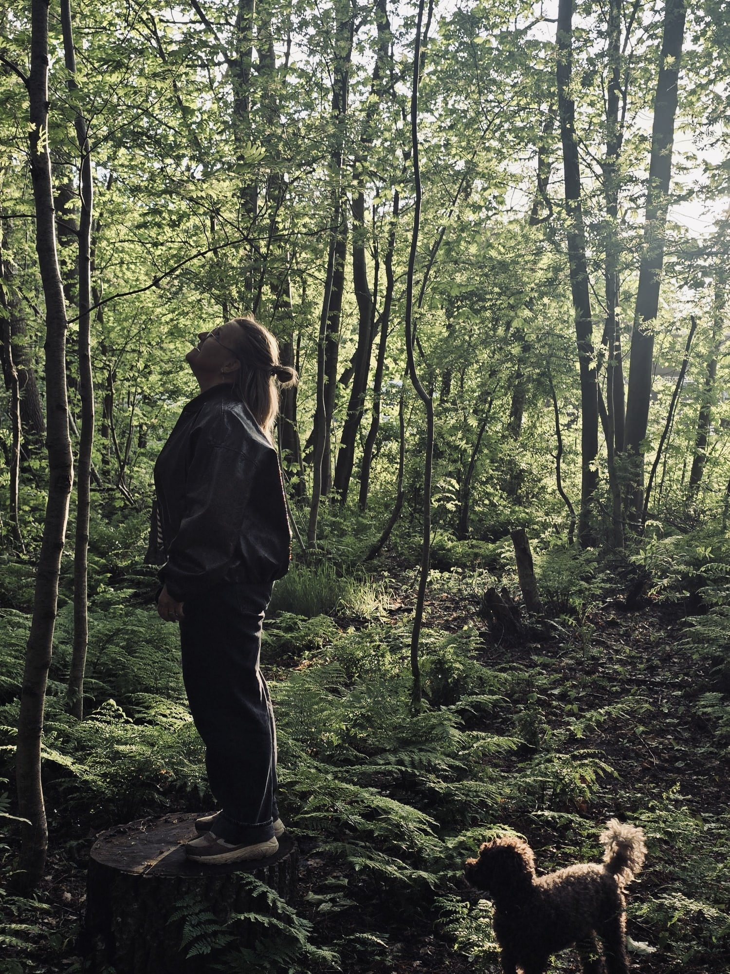 Letters from the woods
