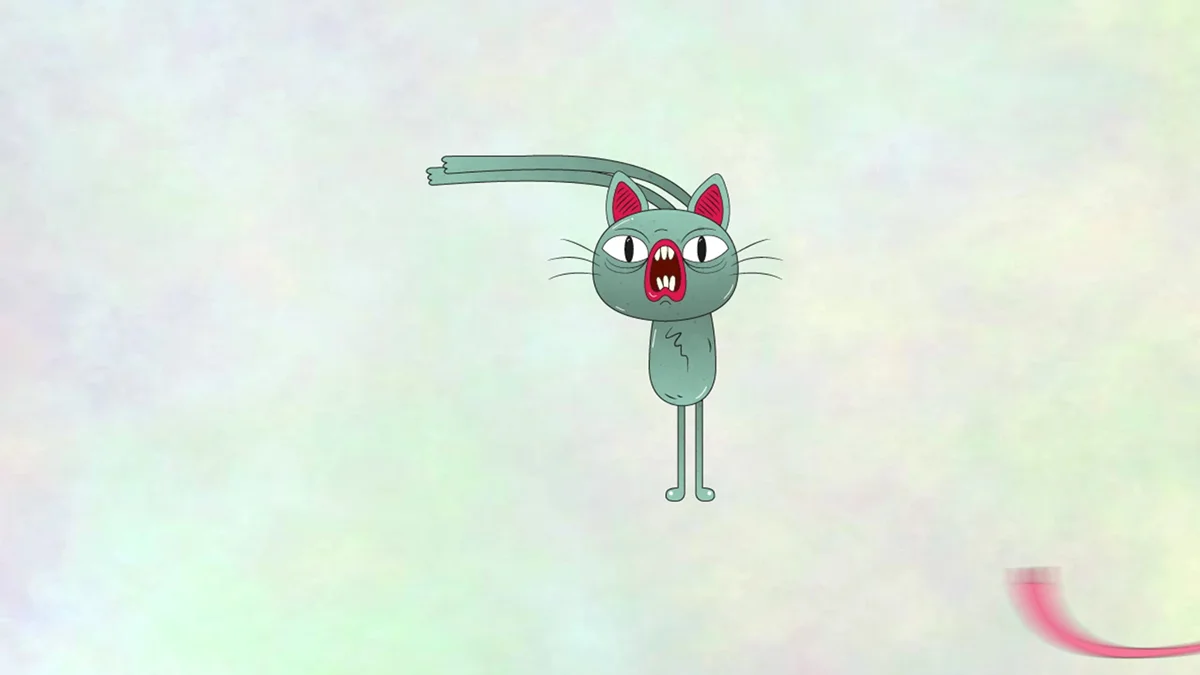 cat