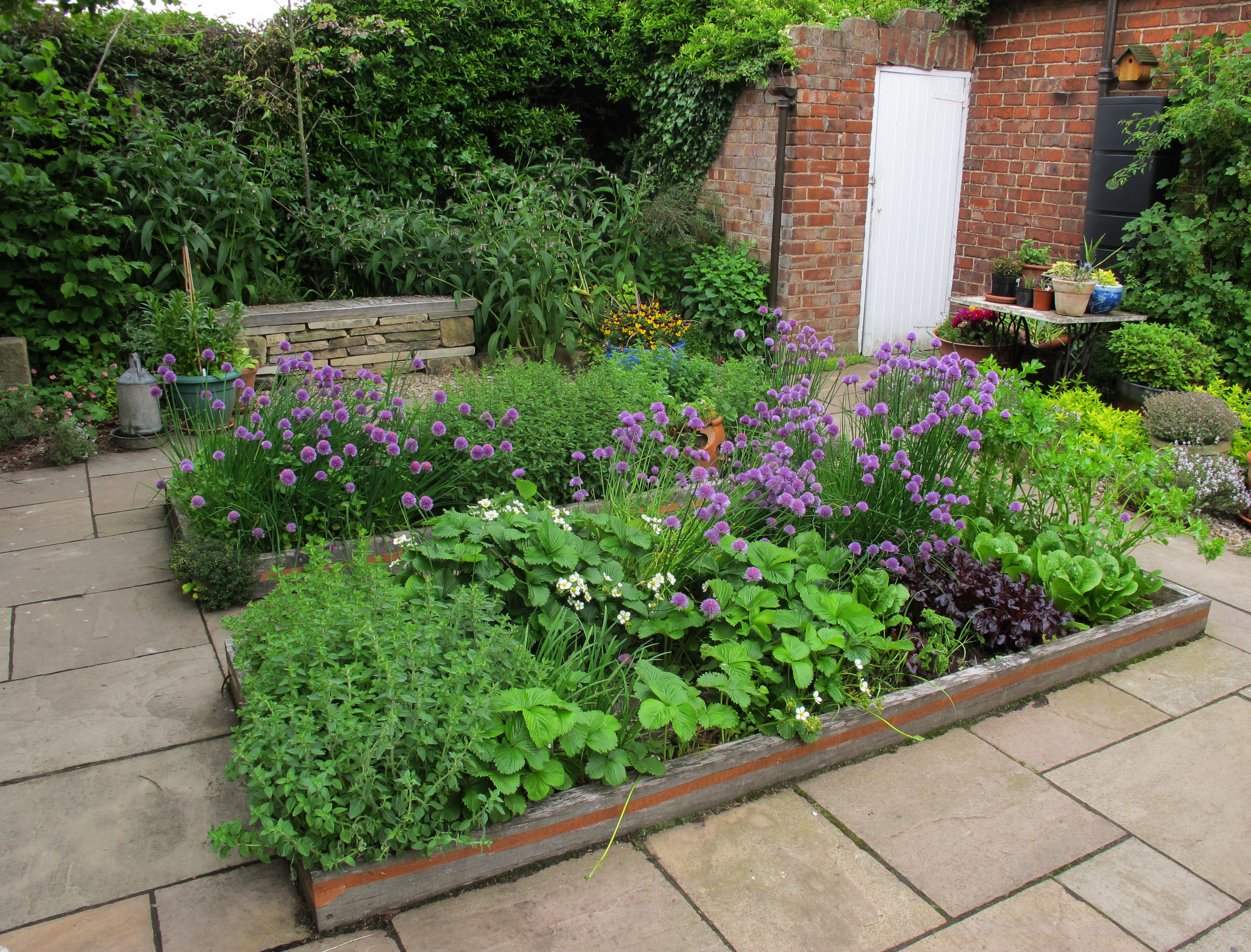 Herb Beds in the Kitchen Garden
