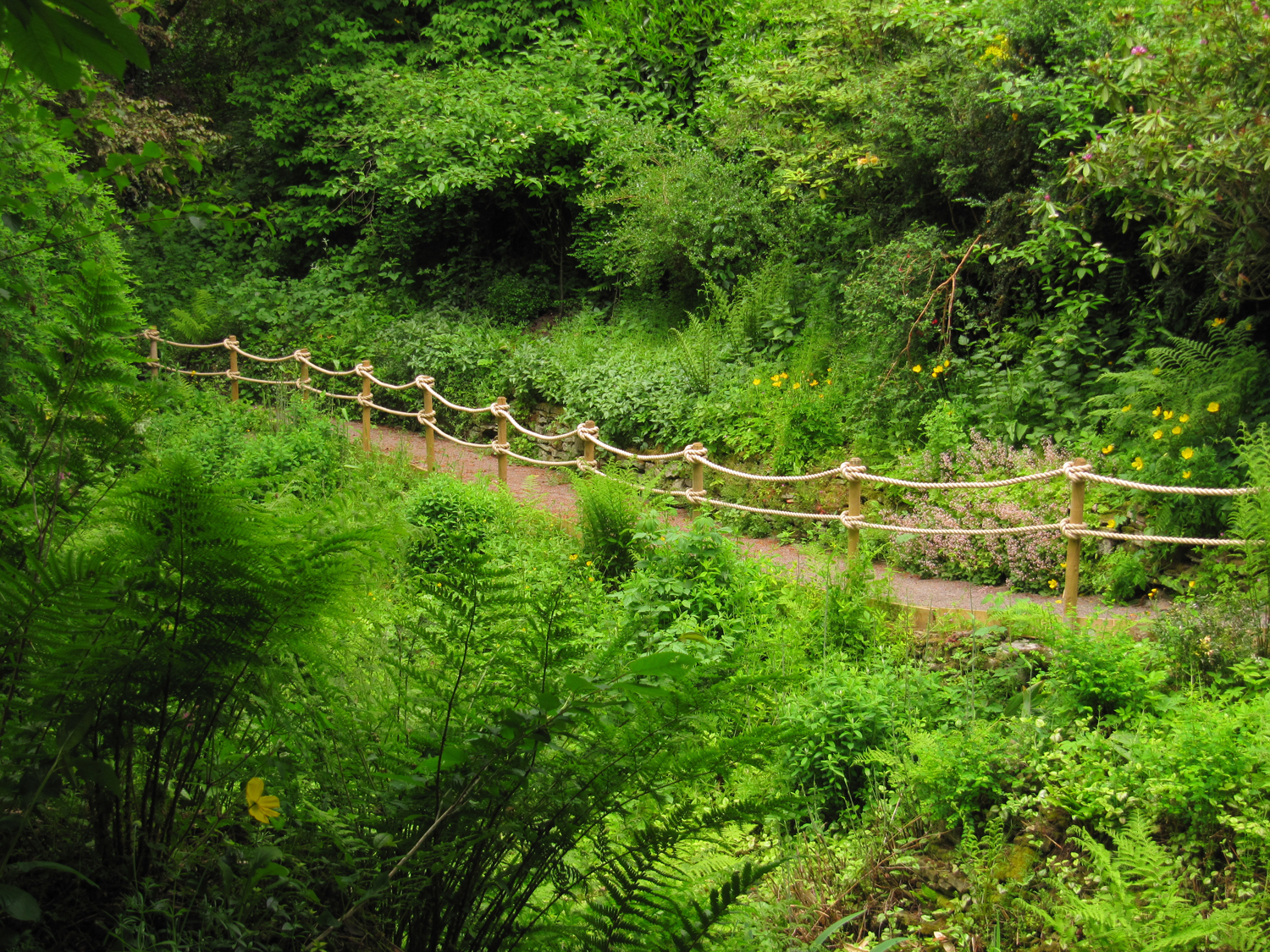 Rope Handrails, The Dene, Whitworth Hall