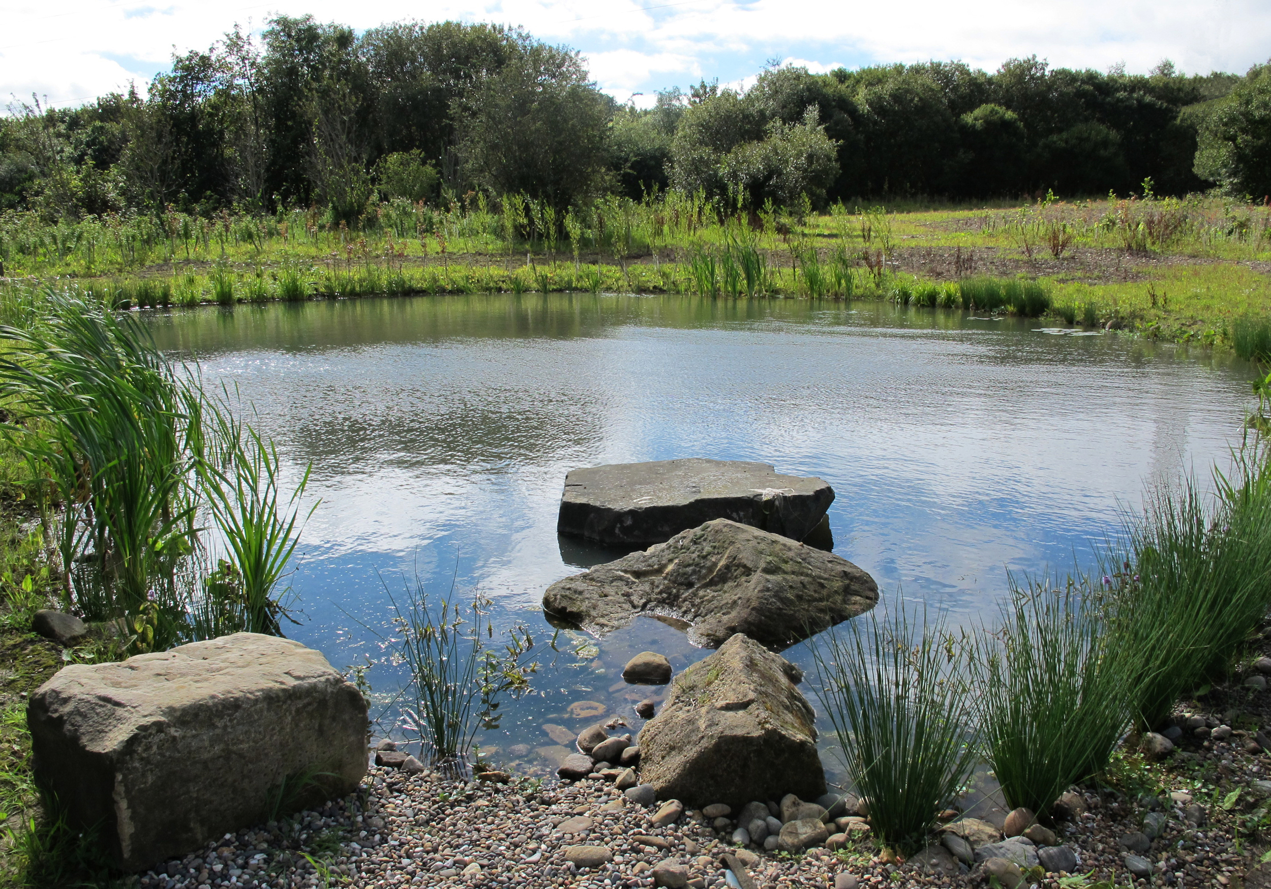 WEBSMSSLgPond.jpg
