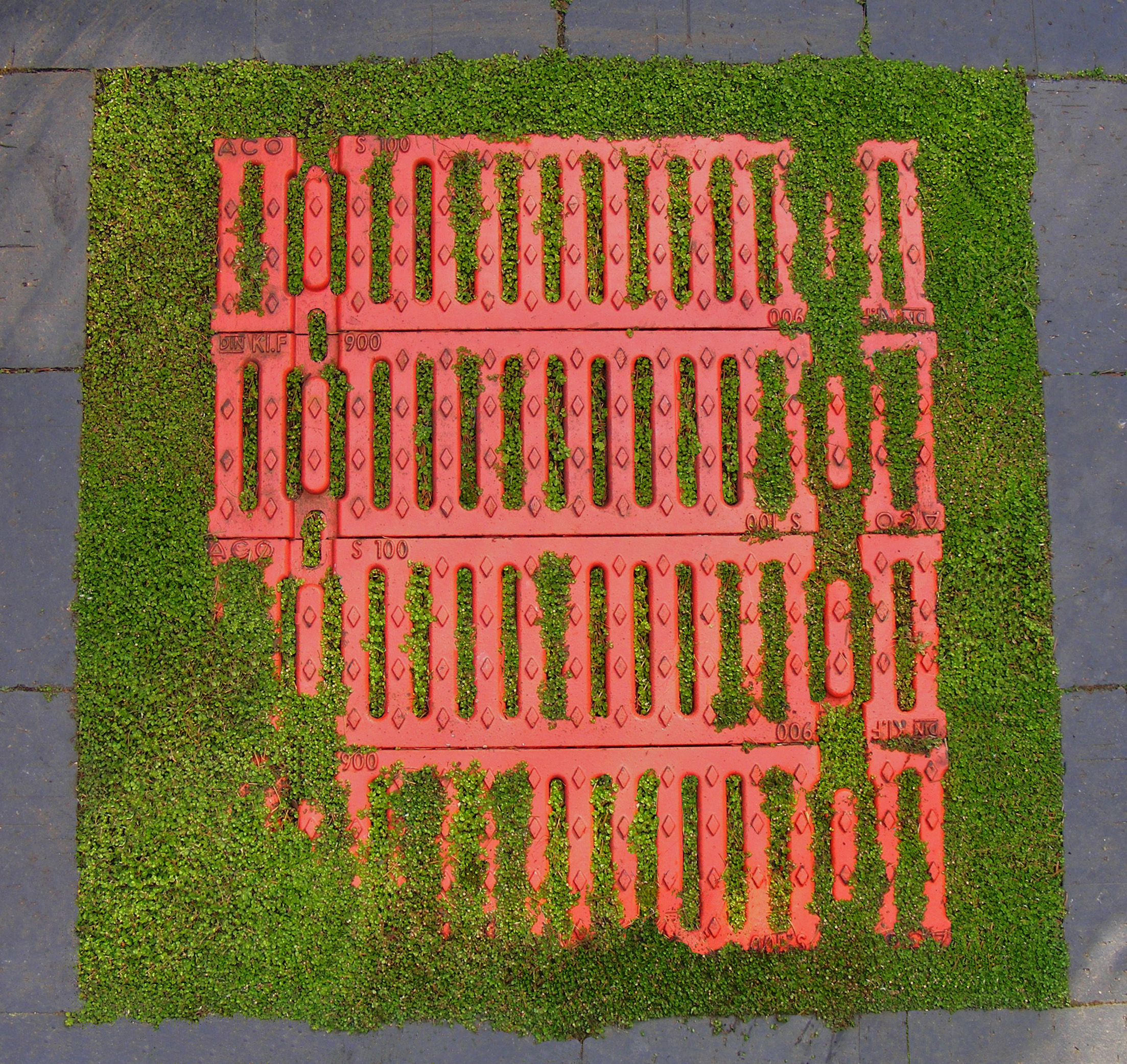 redgrid.jpg