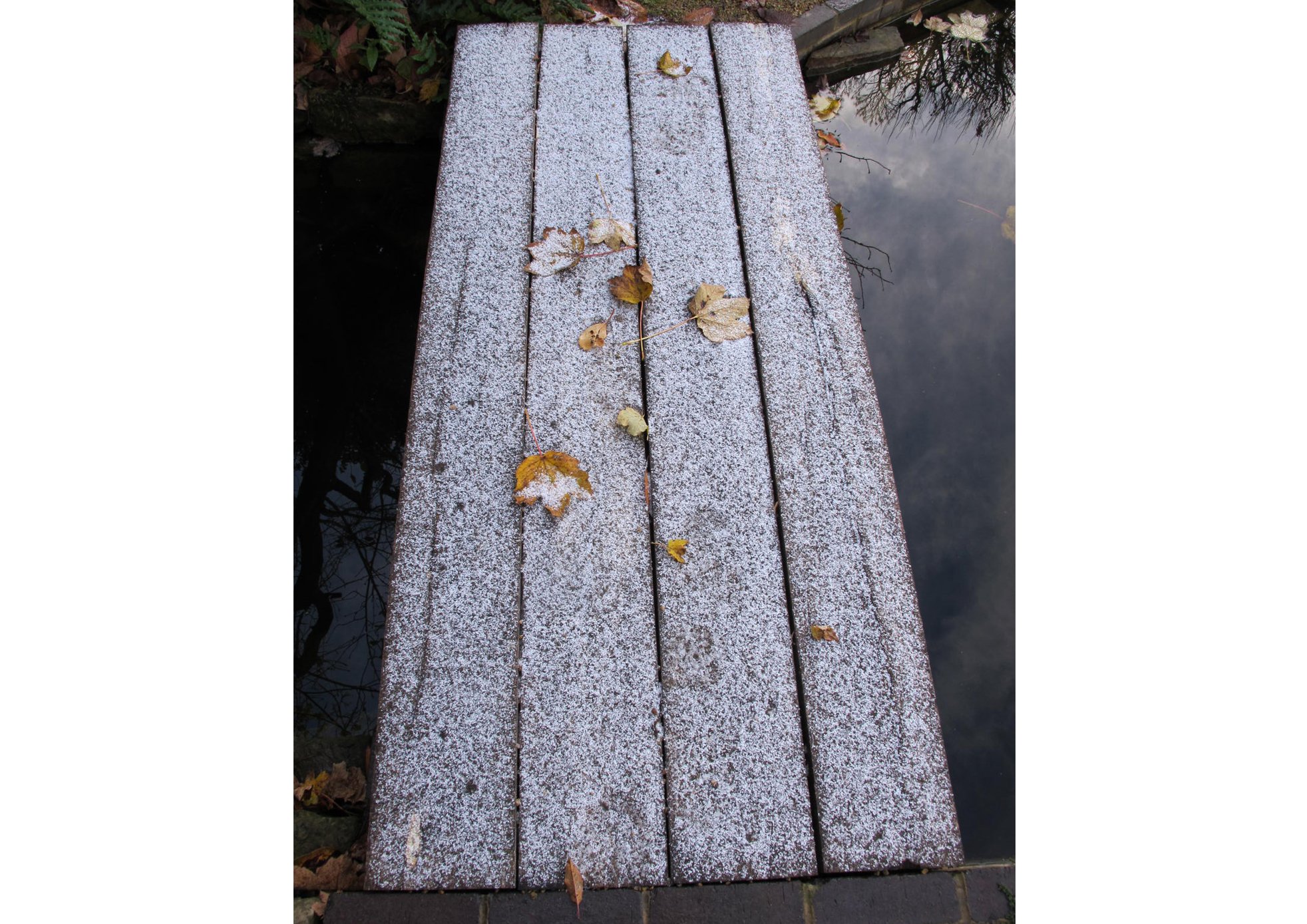 DACSSWinterBridge.jpg