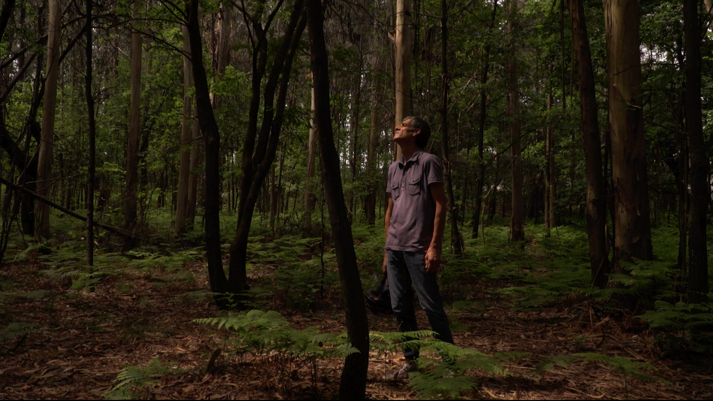 A Volta da Revolta (The Walk of Revolt), 2018 Short hybrid documentary After 15 years, Rui is back to his routine. In an attempt of freeing himself from the ghosts of the past, he makes a trip, both physical and spiritual, through the places that changed his life. Directed, filmed and edited: Mário Macedo Producer: Vitor Ribeiro Sound Post-Production: Luis Vieira With Rui Macedo and Maria Macedo Film commissioned by Close-up: Observatório de Cinema de Famalicão (www.closeup.pt) www.mariomacedo.com