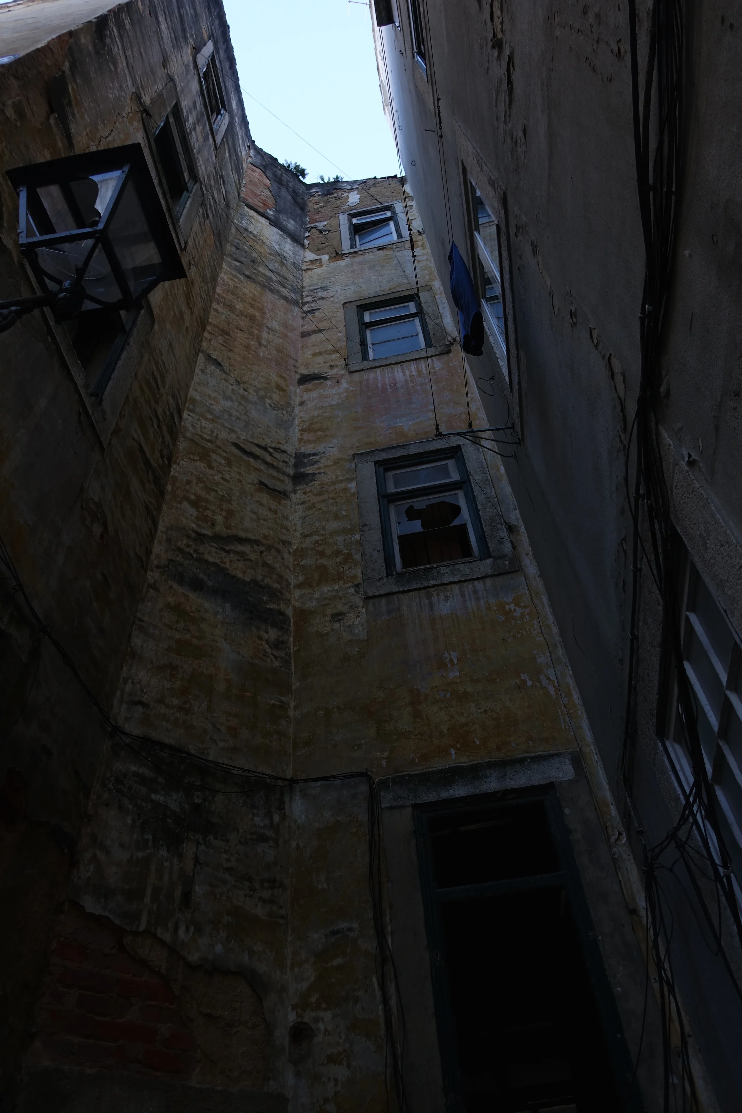 DSC00807.jpg