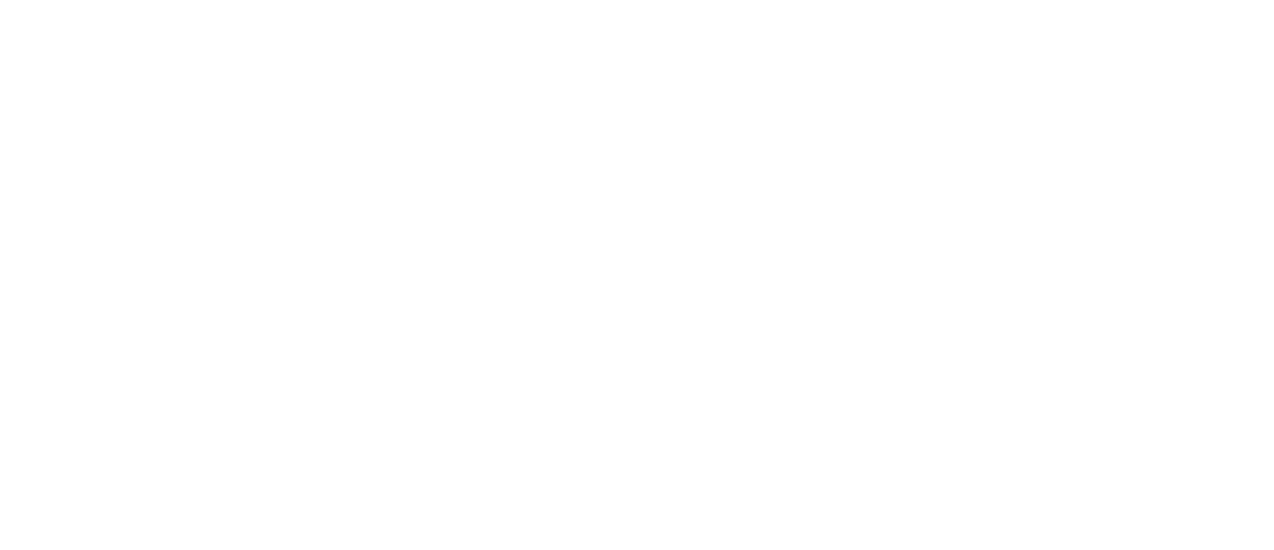 2020 Text.png