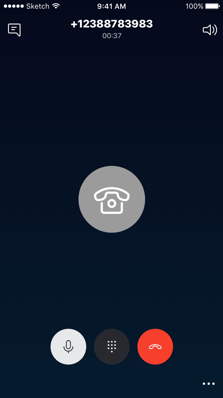 Option_03_default_call_controls Copy 210.png