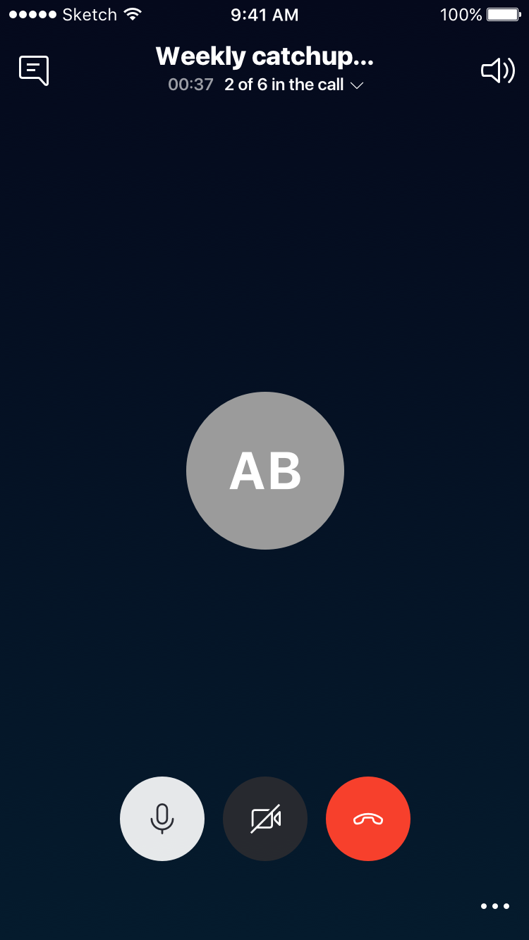 Option_03_default_call_controls Copy 208.png