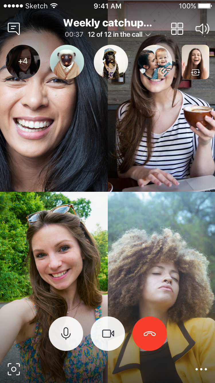 Option_03_default_call_controls Copy 316.png