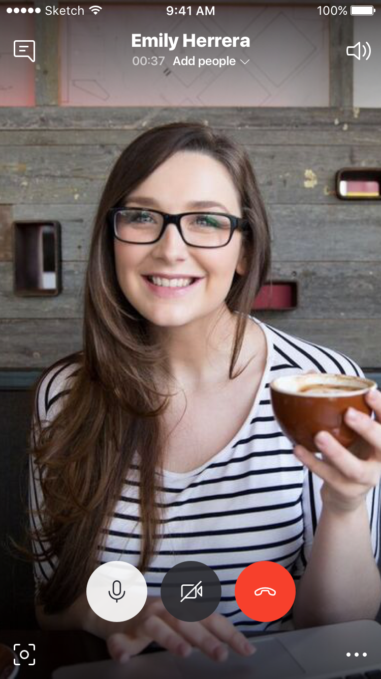 Option_03_default_call_controls Copy 206.png