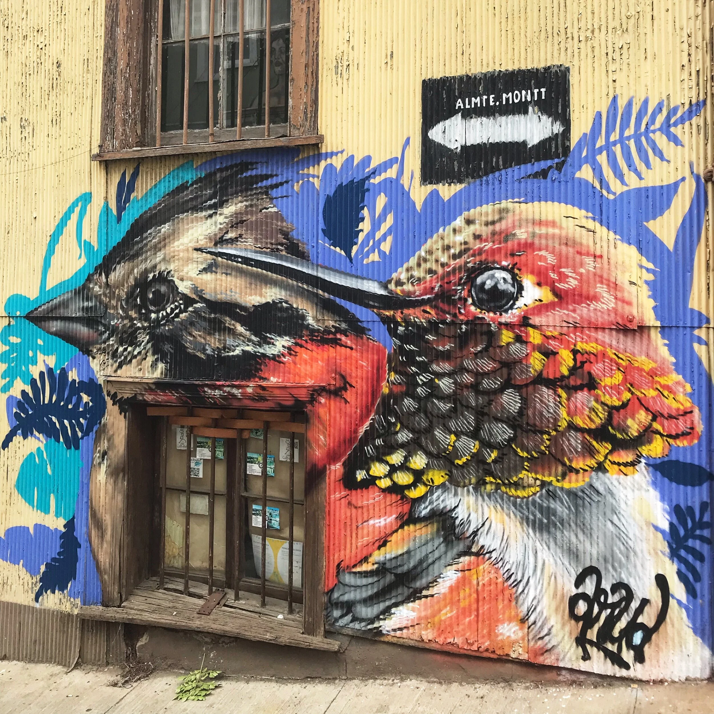 Fargerike husvegger i Valparaíso