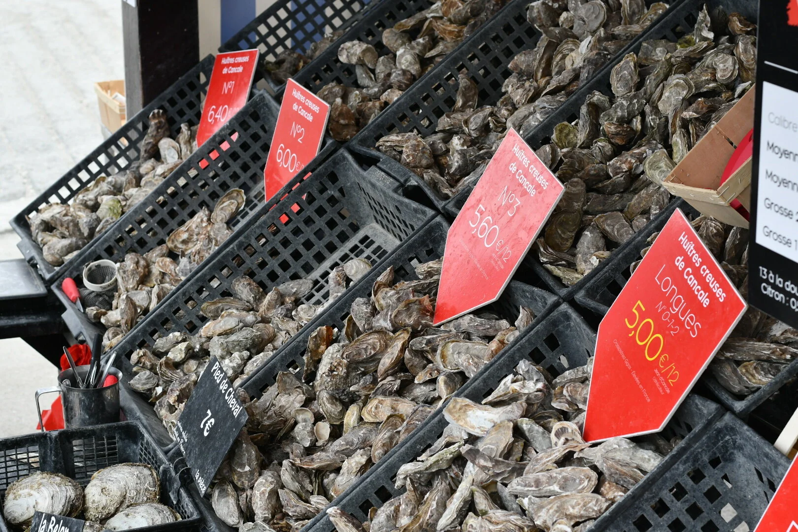 Ferske østers til ca. 5 kr/stk, som serveres nyåpnet med sitron til