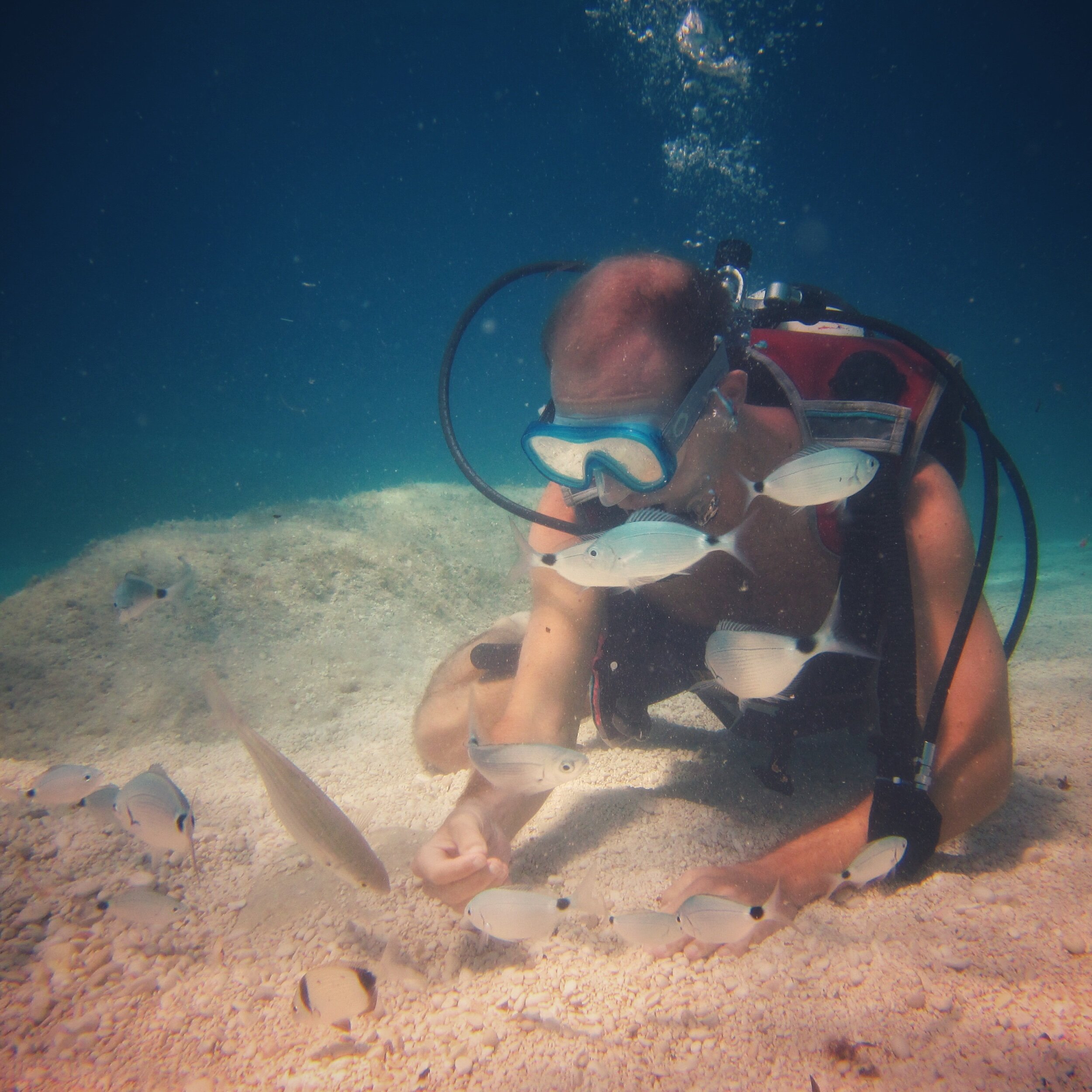 Det krystallklare vannet innbyr til snorkling og dykking
