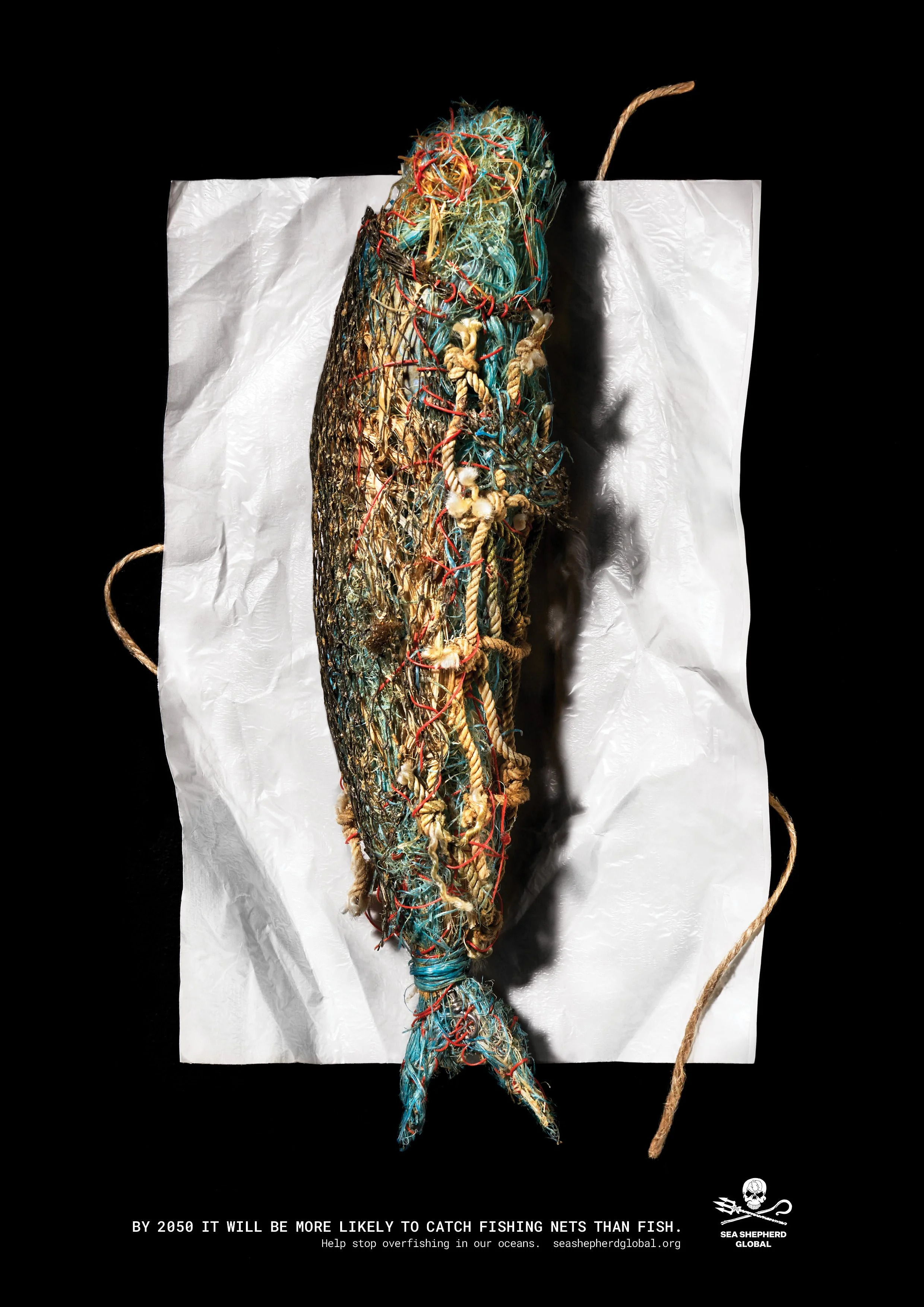 CatchoftheDay_KV3.png