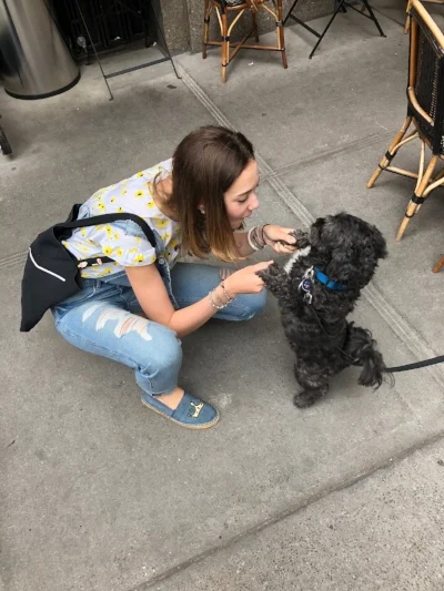 Spotted outside Maison Kayser, Curly is clearly a connoisseur of Sunday's best brunch spots. He's one of those patient waiters (knowing that every dog and their owner is trying to snag a seat at this snack shack) so he doesn't mind making new friends in the meantime!