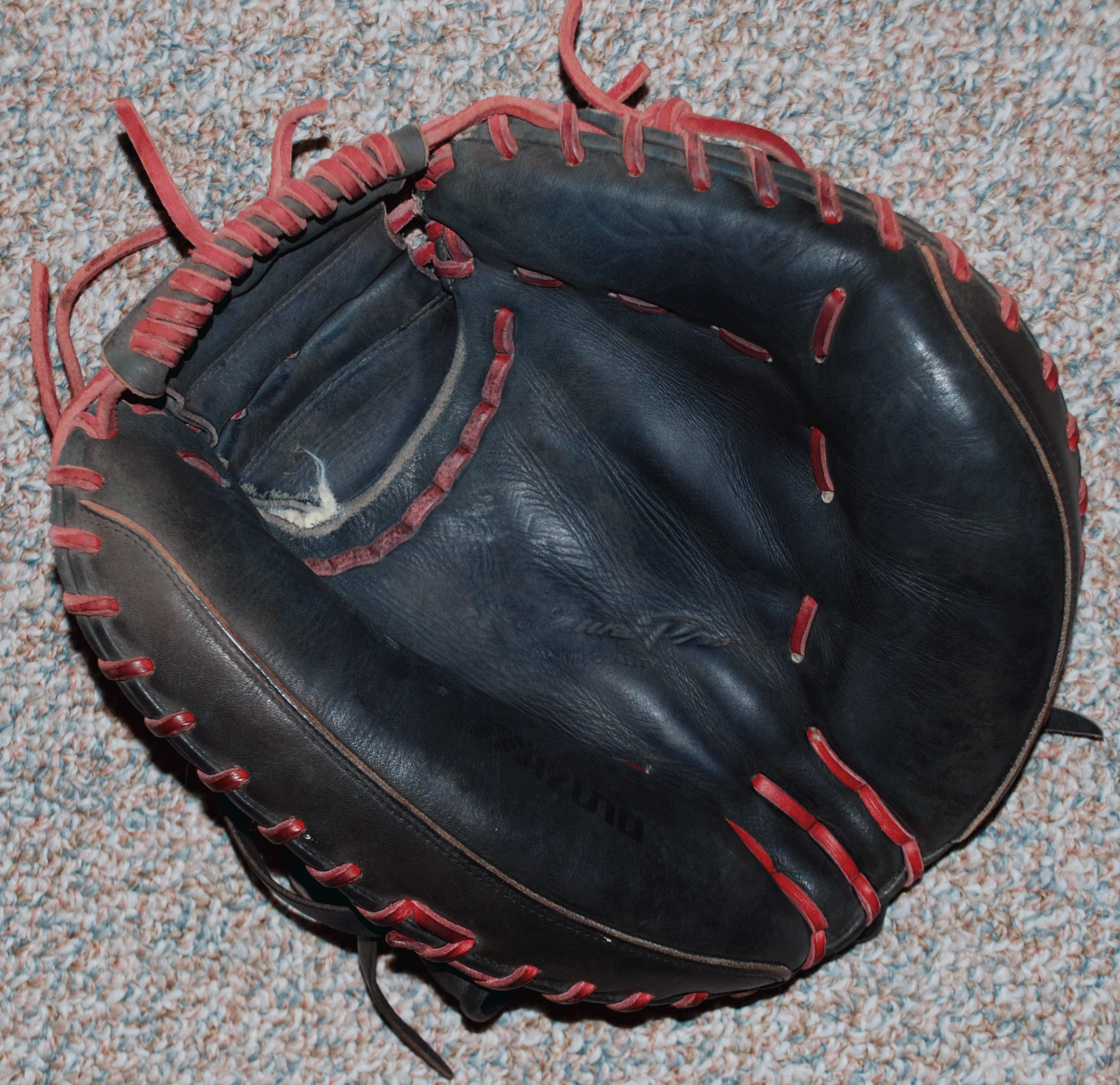 Ross Catchers Mitt inside.gif