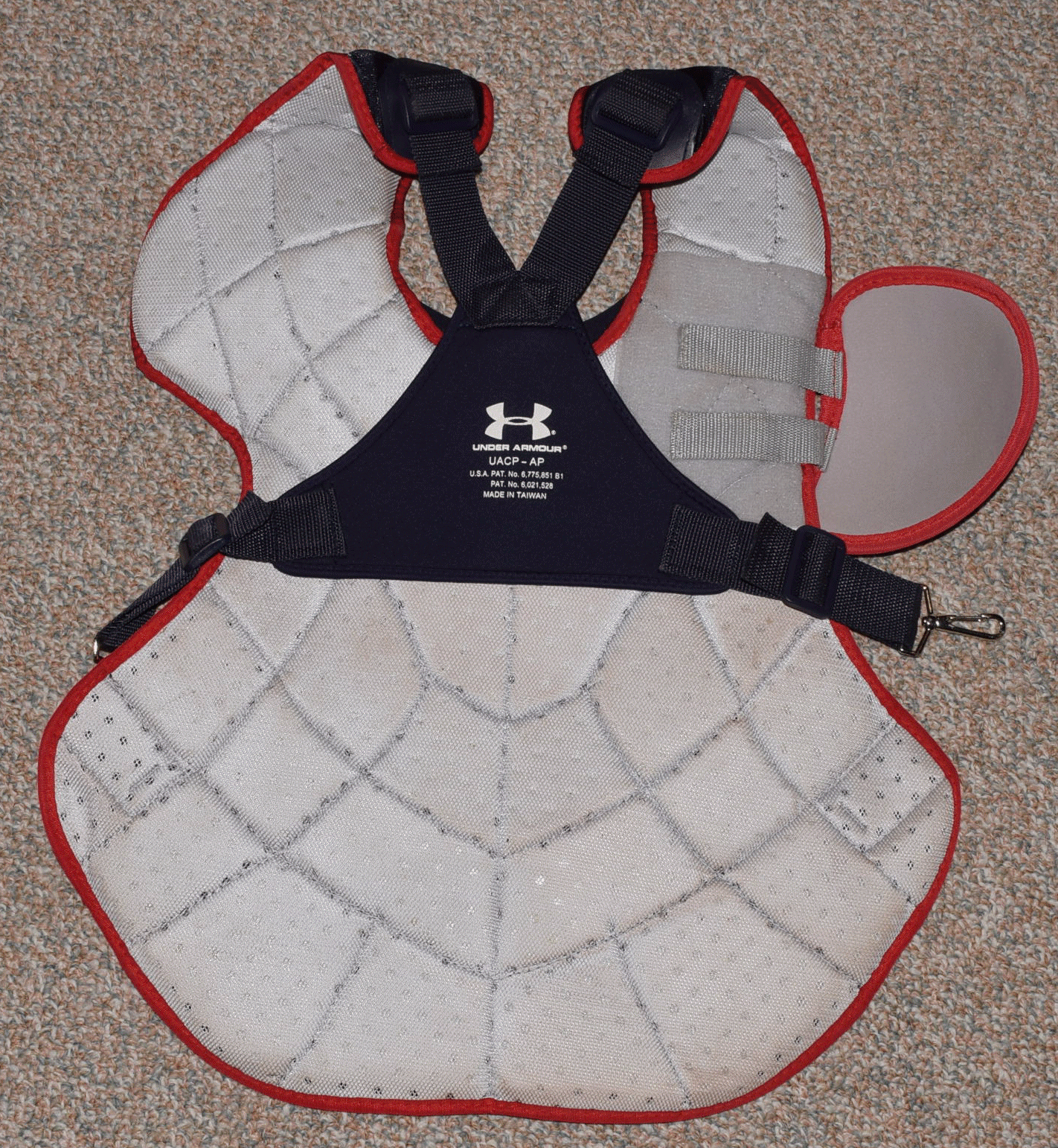 Hanigan Chest Protector 2 - back.gif