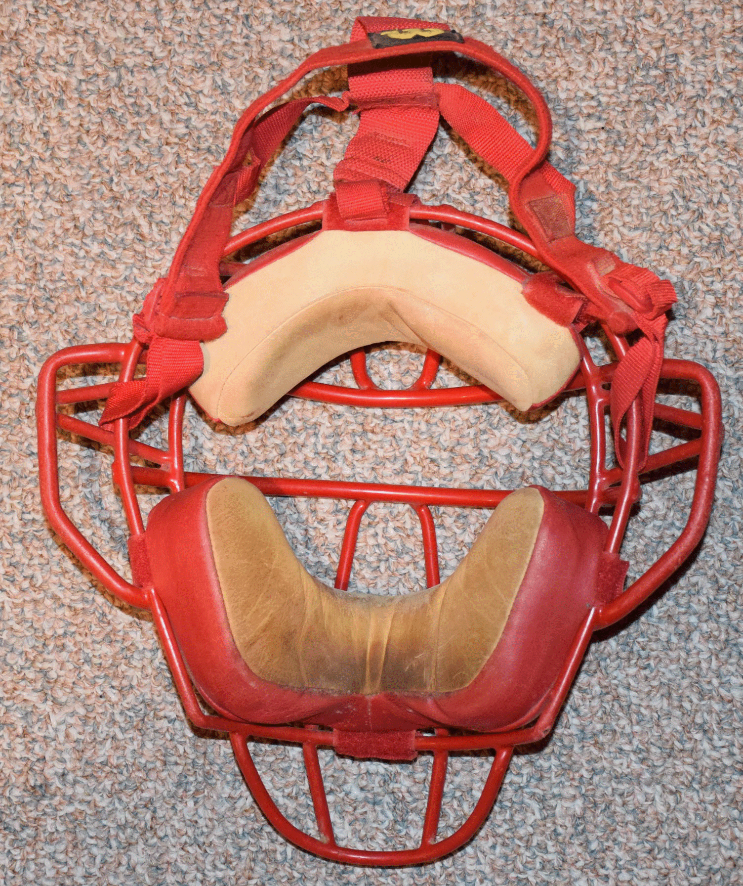 Shoppach Mask Back 1.gif