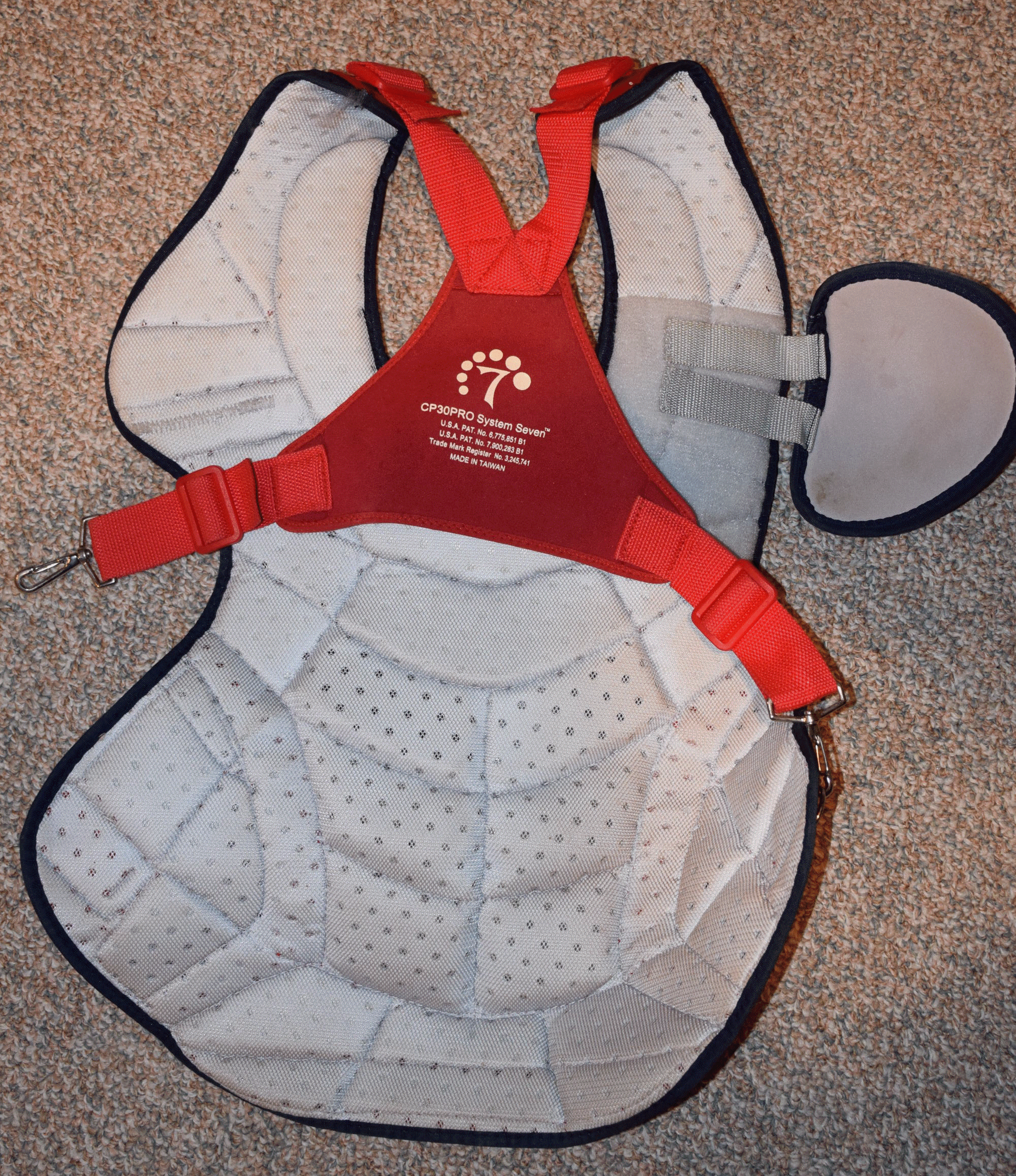 Vazquez Chest Protector Back 1.gif