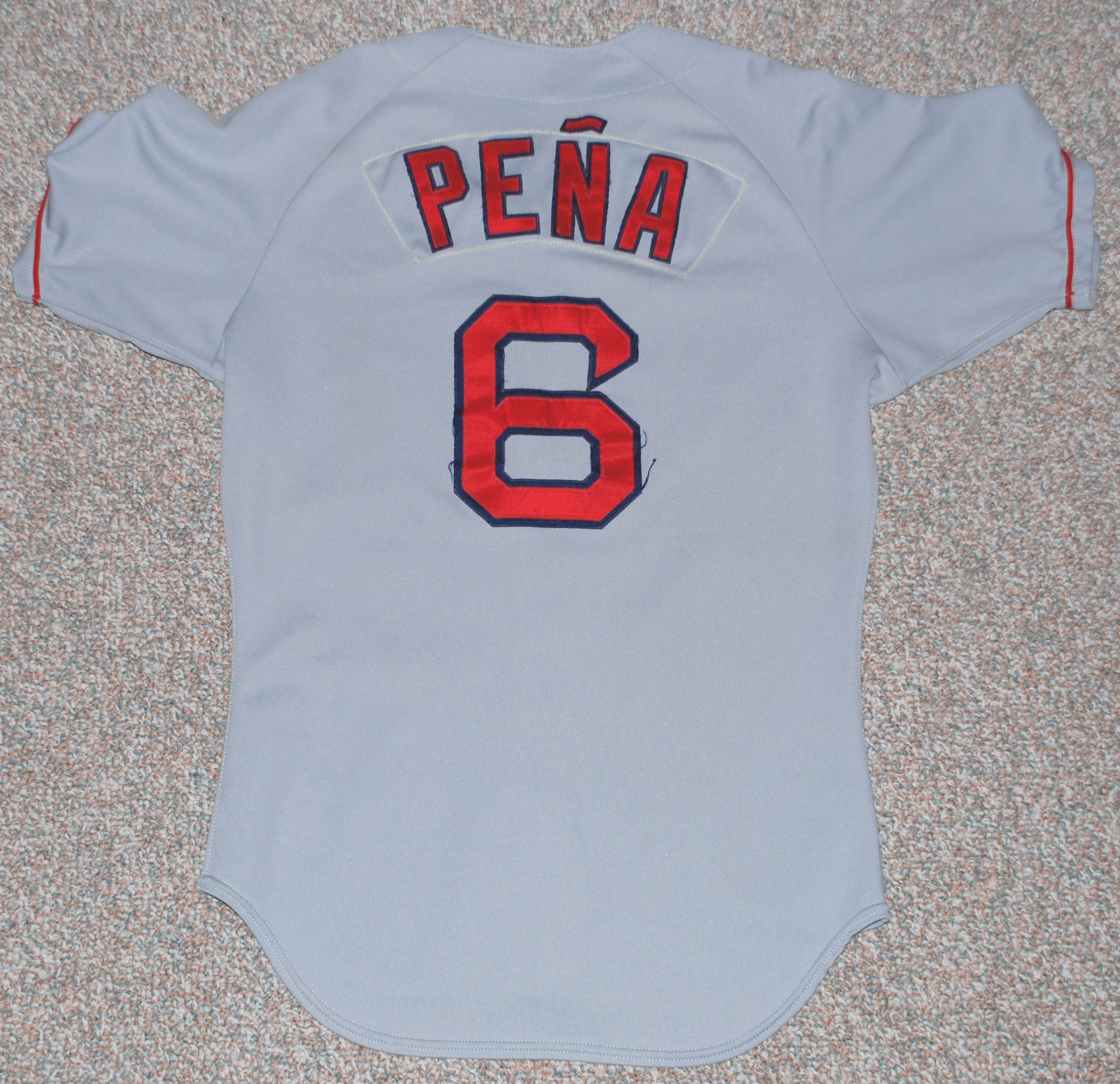 PenaT Jersey 1 - back.gif