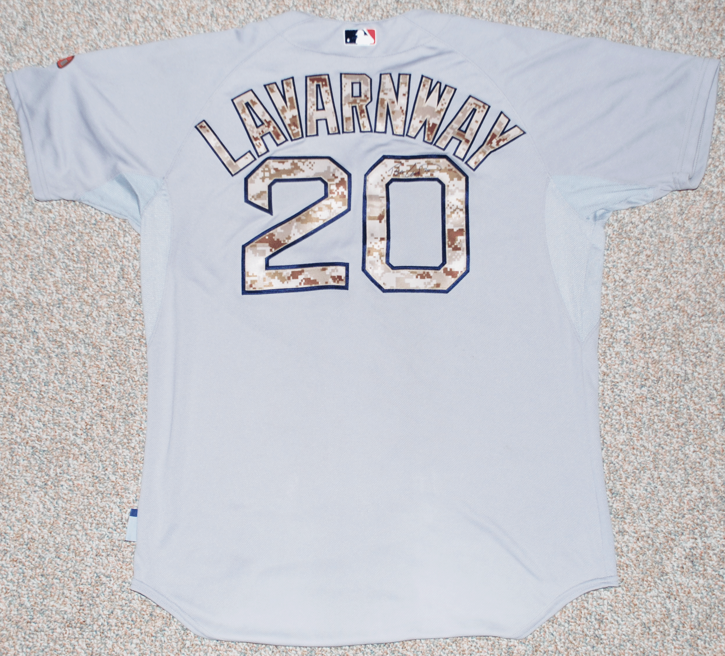 Lavarnway Jersey 3 - back.gif