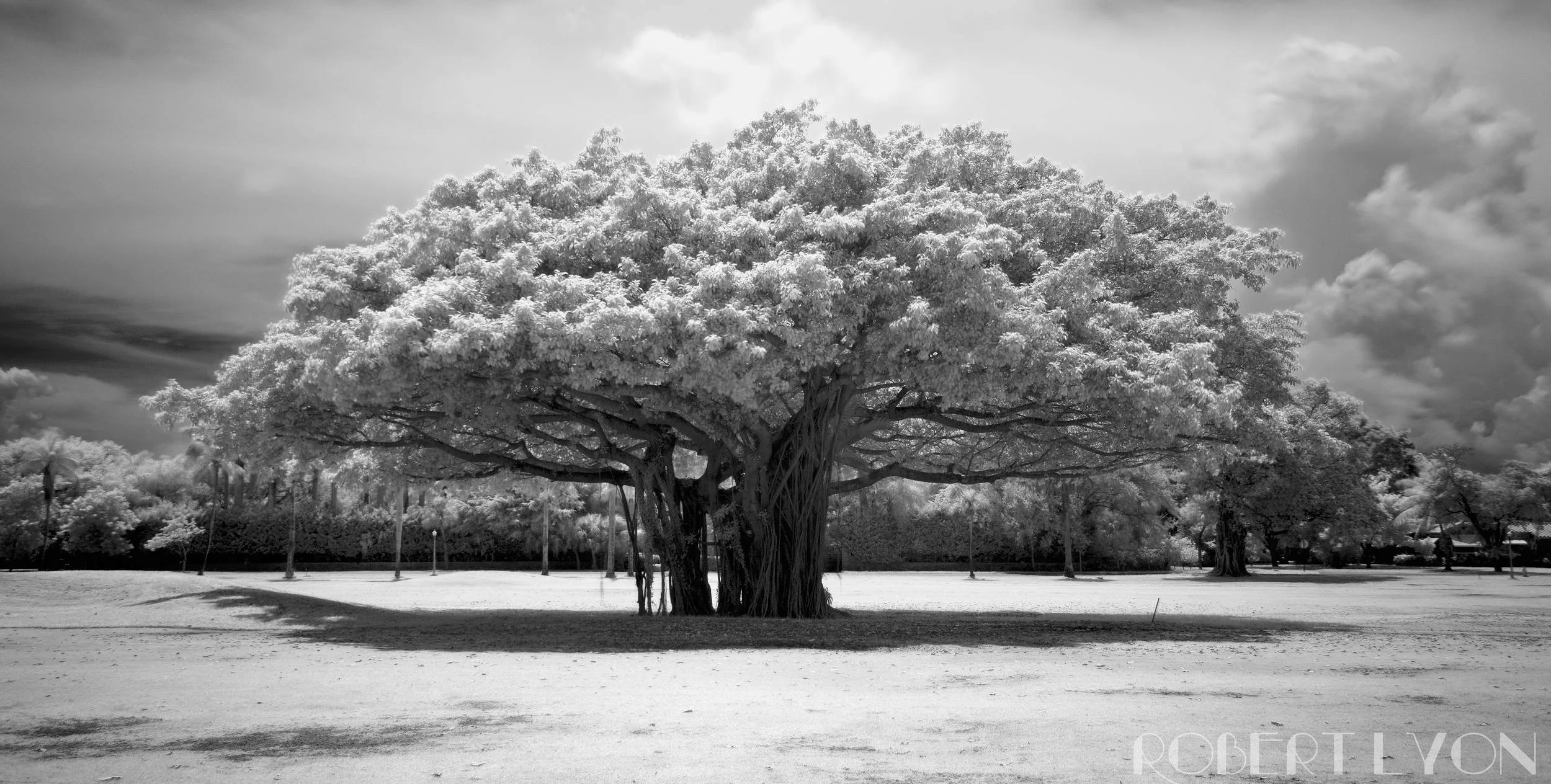 Coral Gables, Grenada Golf Course infrared