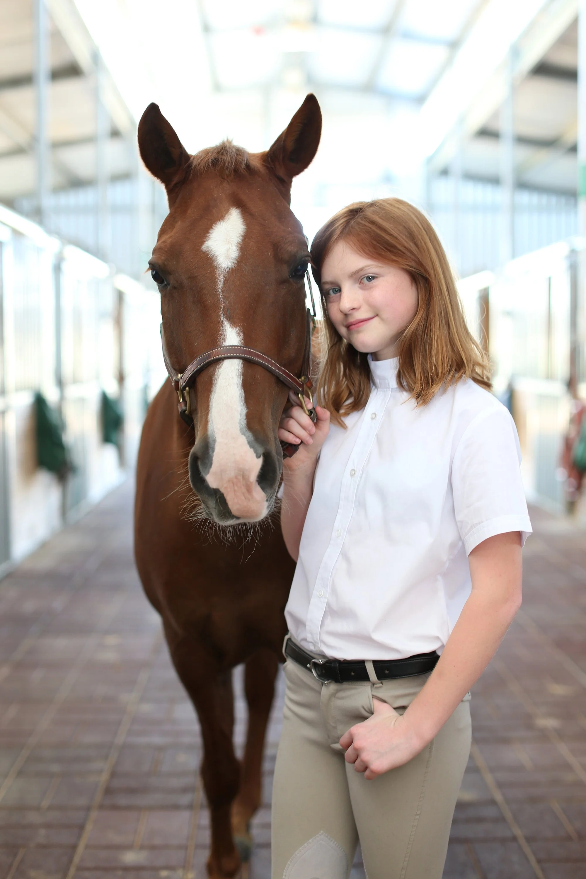 oklahoma-horse-portrait-photographer.JPG