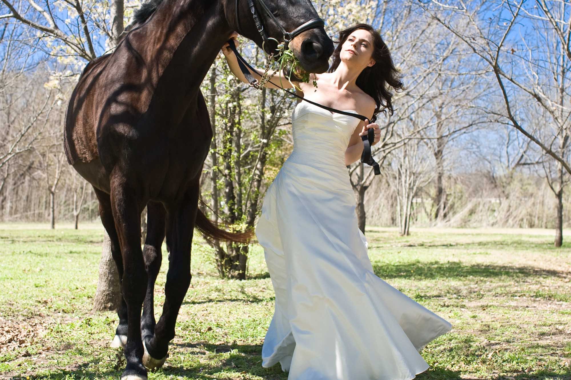 bridal-portraits-horse.jpg