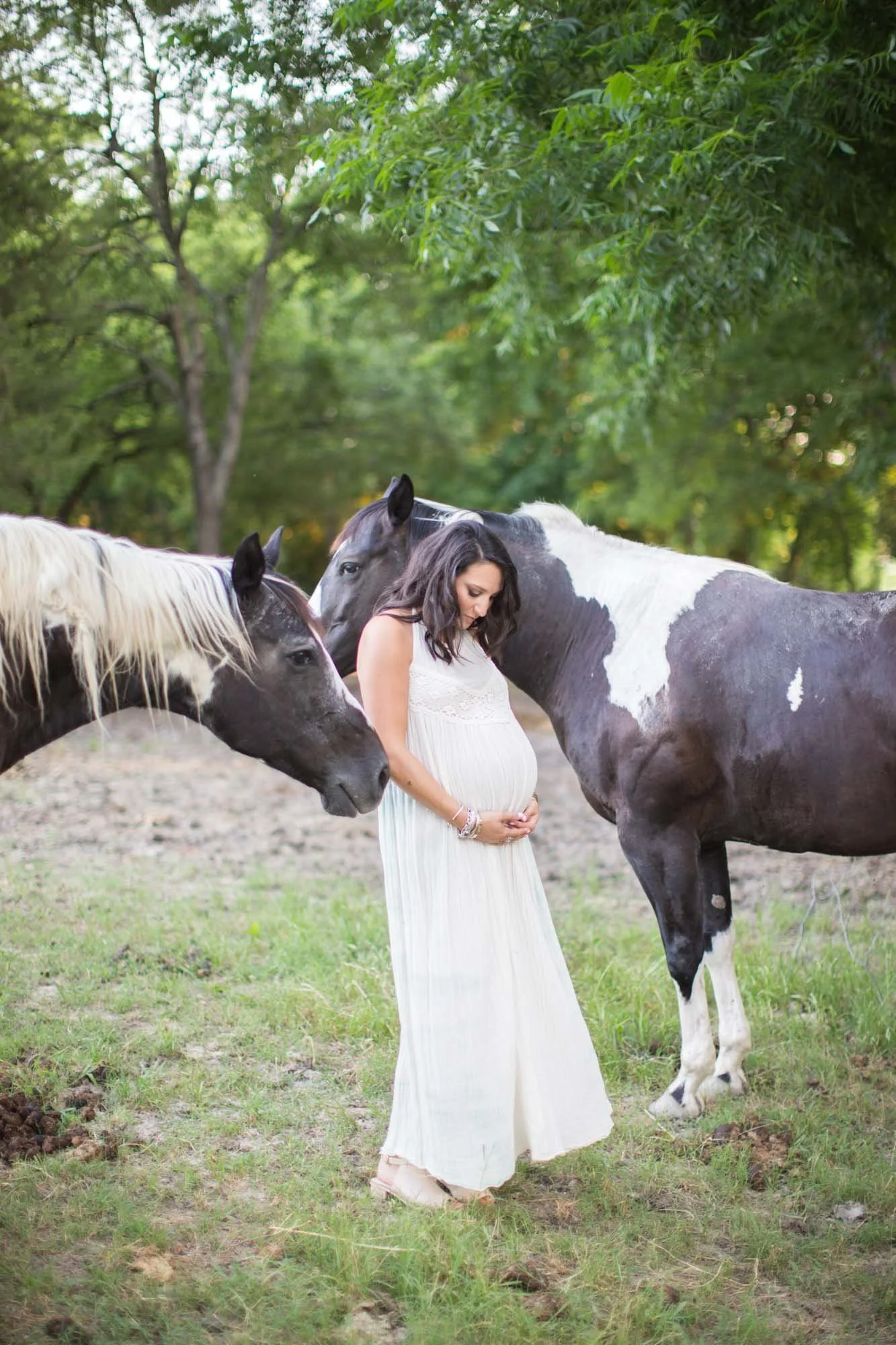 maternity-portrait-horse.jpg