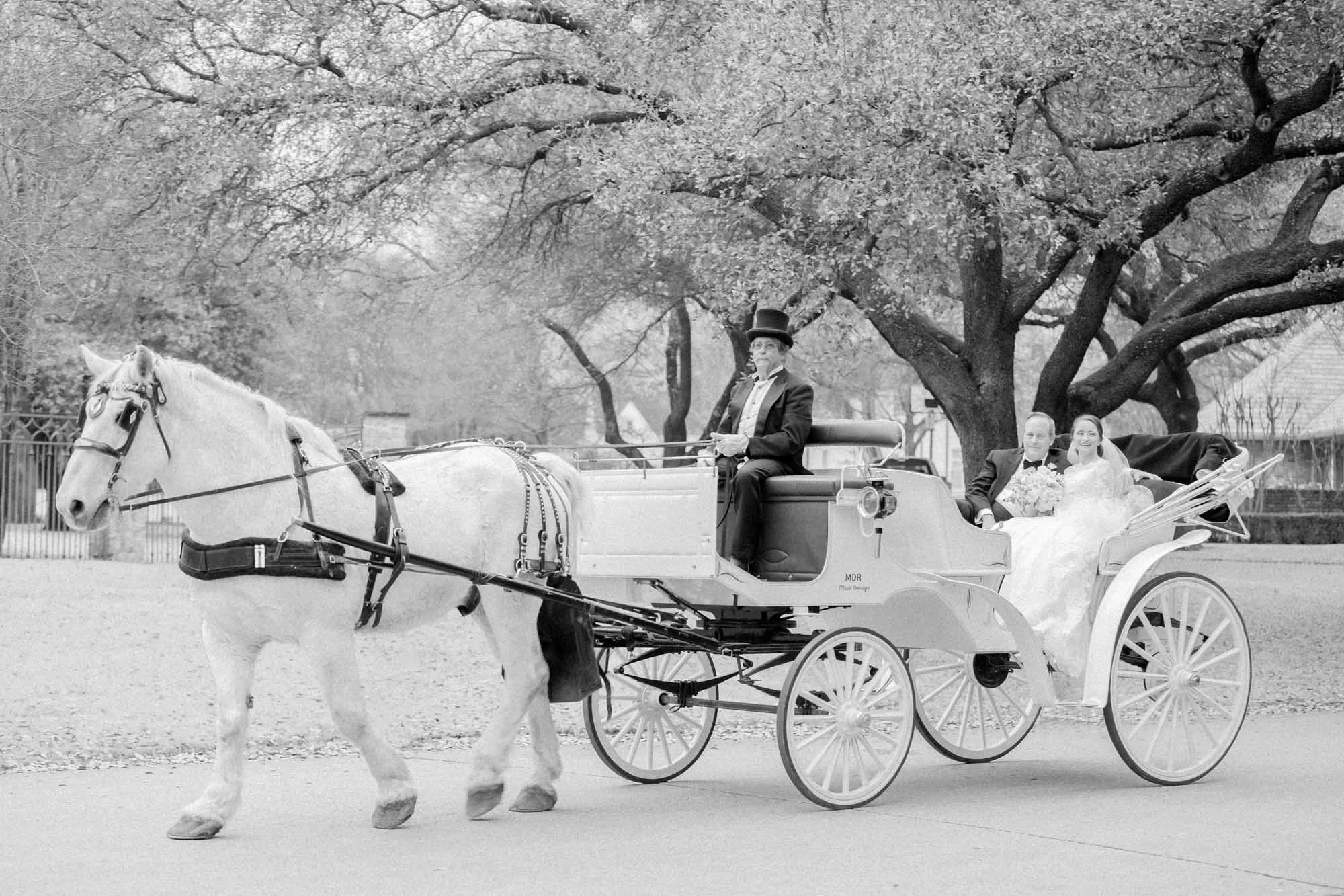 dallas-private-residence-wedding-horse-and-carriage.jpg