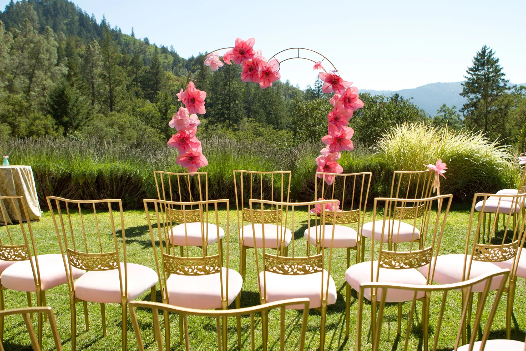 napa-vinyard-wedding-ceremony.jpg