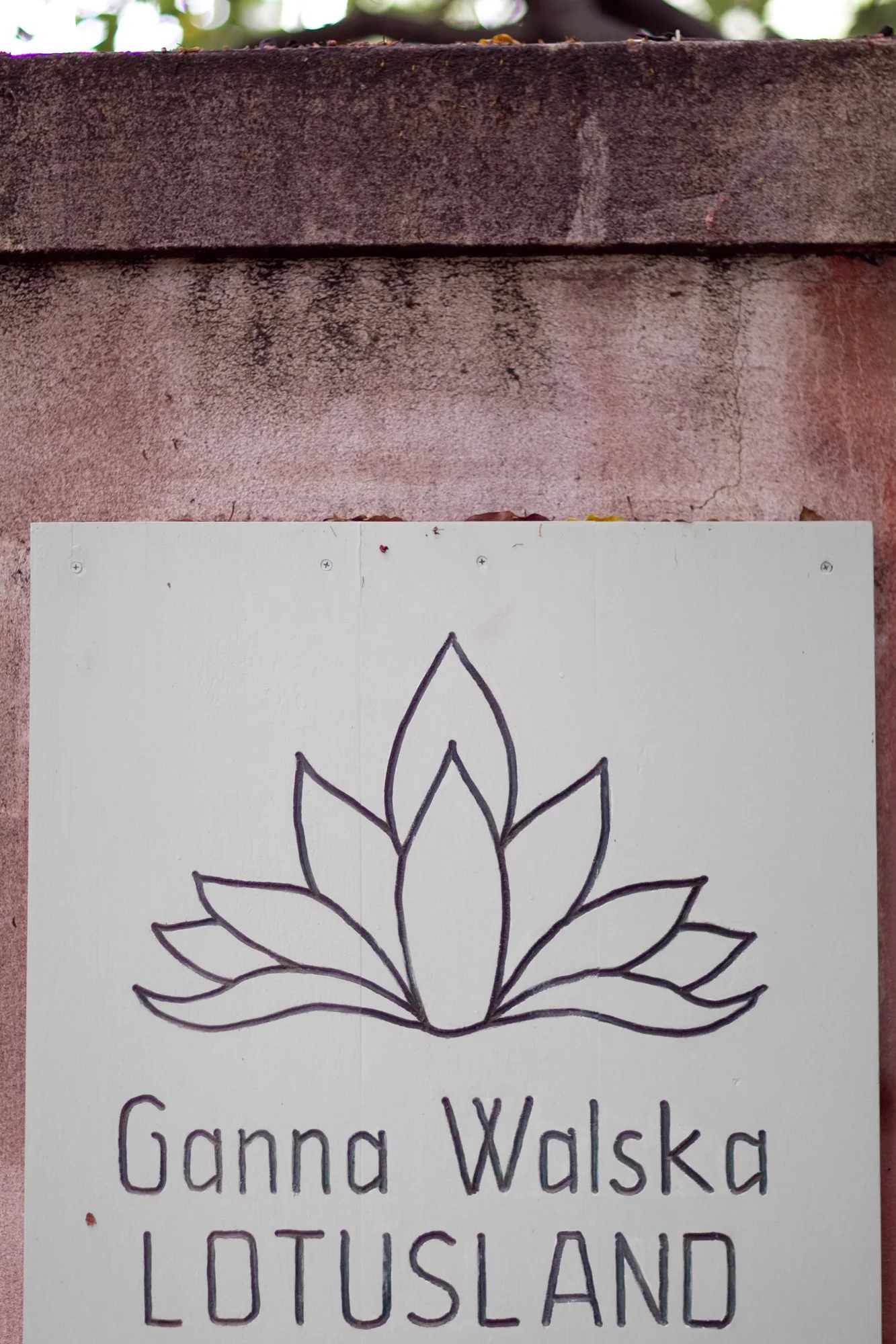 lotus-land-editorial-photographer.jpg