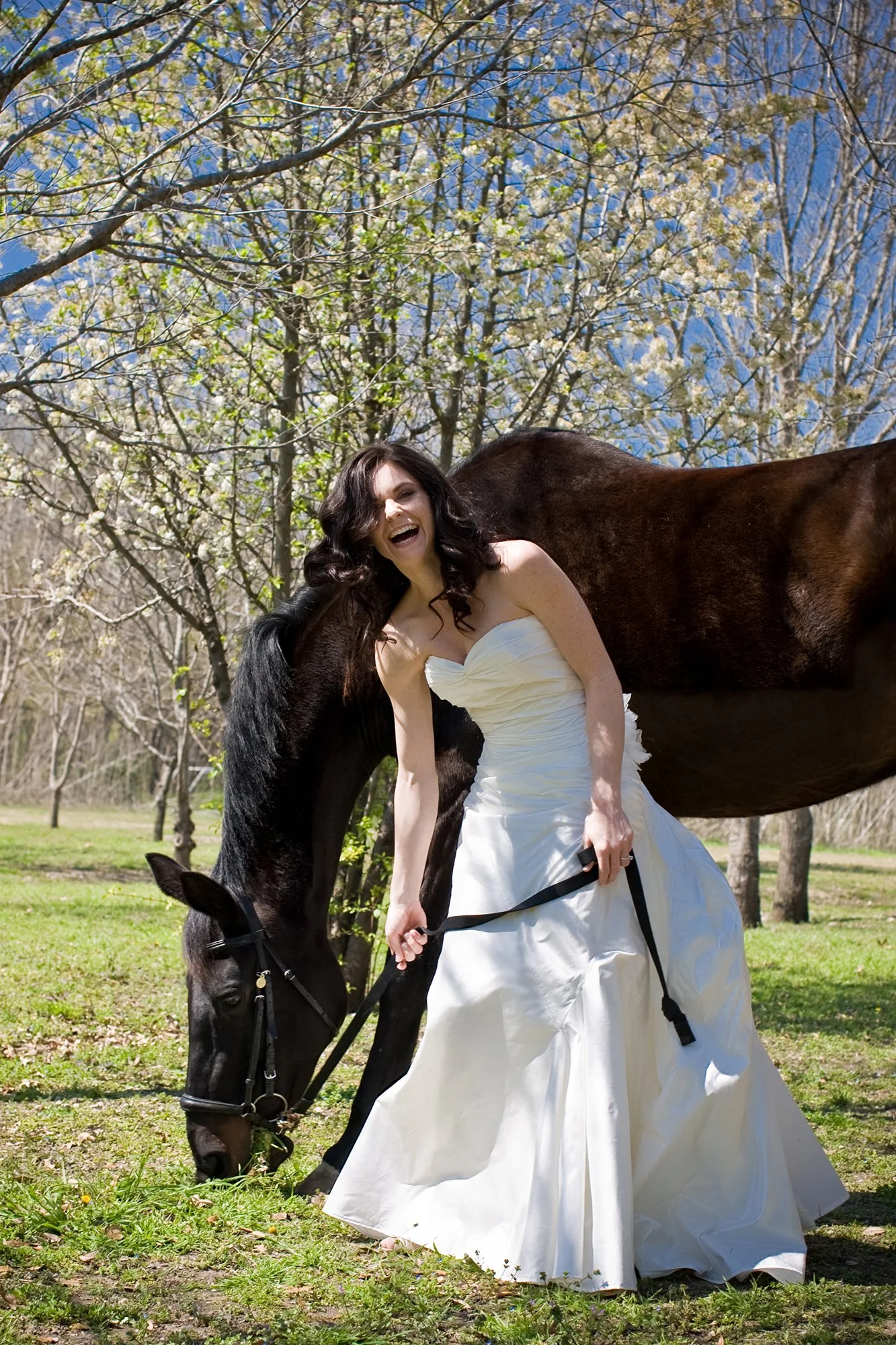 A woman in a white wedding dress laughing and smiling as she interacts with a black horse outdoors in a park on a bright sunny day with trees and blue sky in the background.