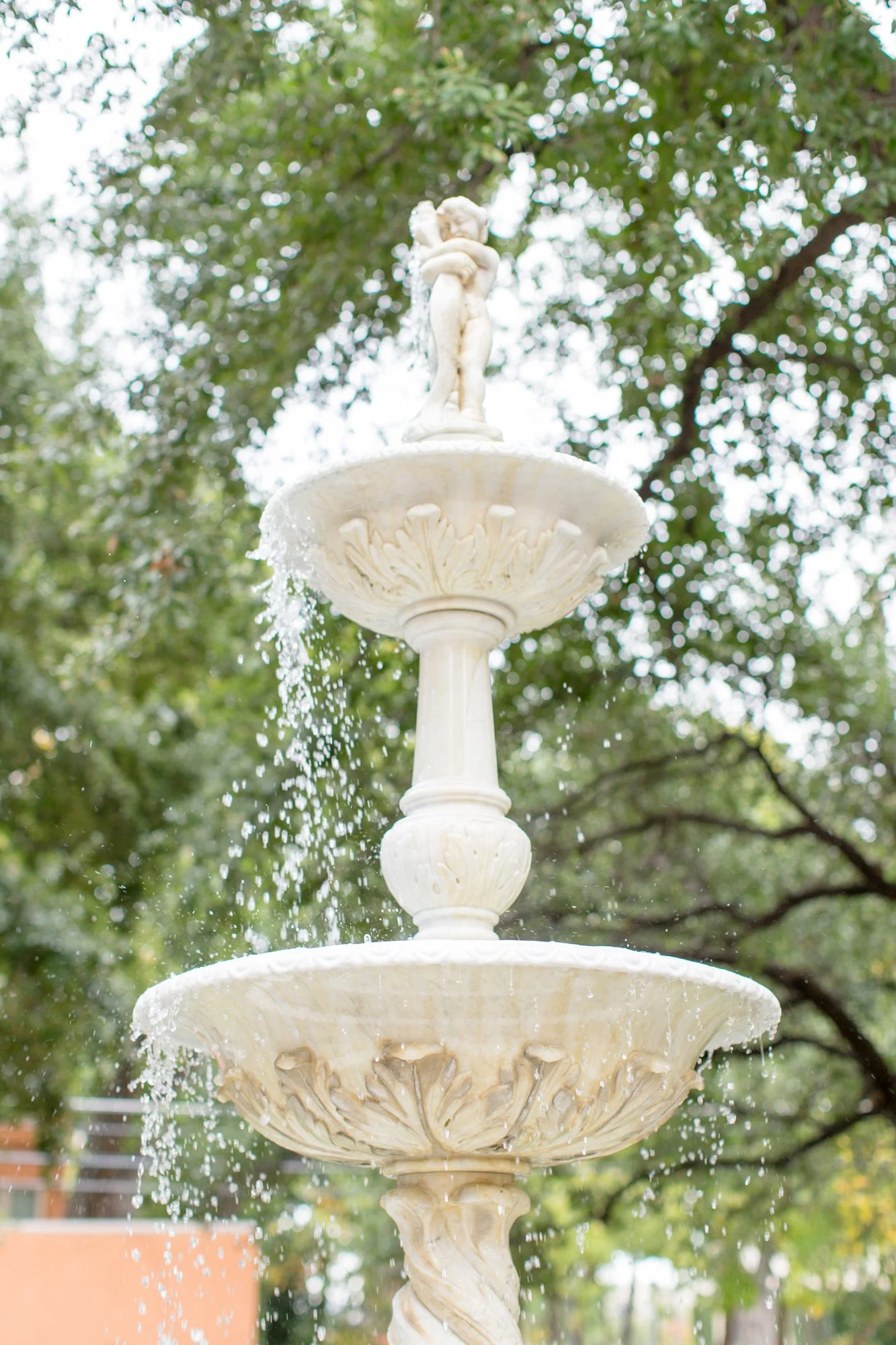 mansion-on-turtle-creek-wedding-fountain.jpg