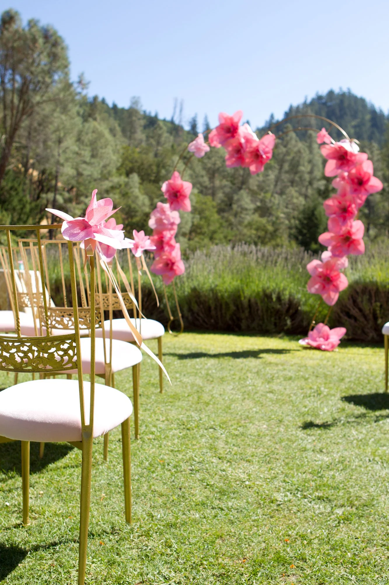 napa-wedding-ceremony.jpg