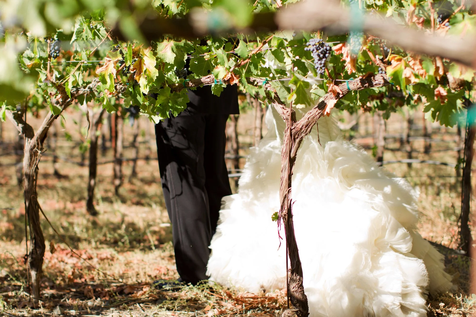 napa-vinyard-wedding-photographer_1.jpg