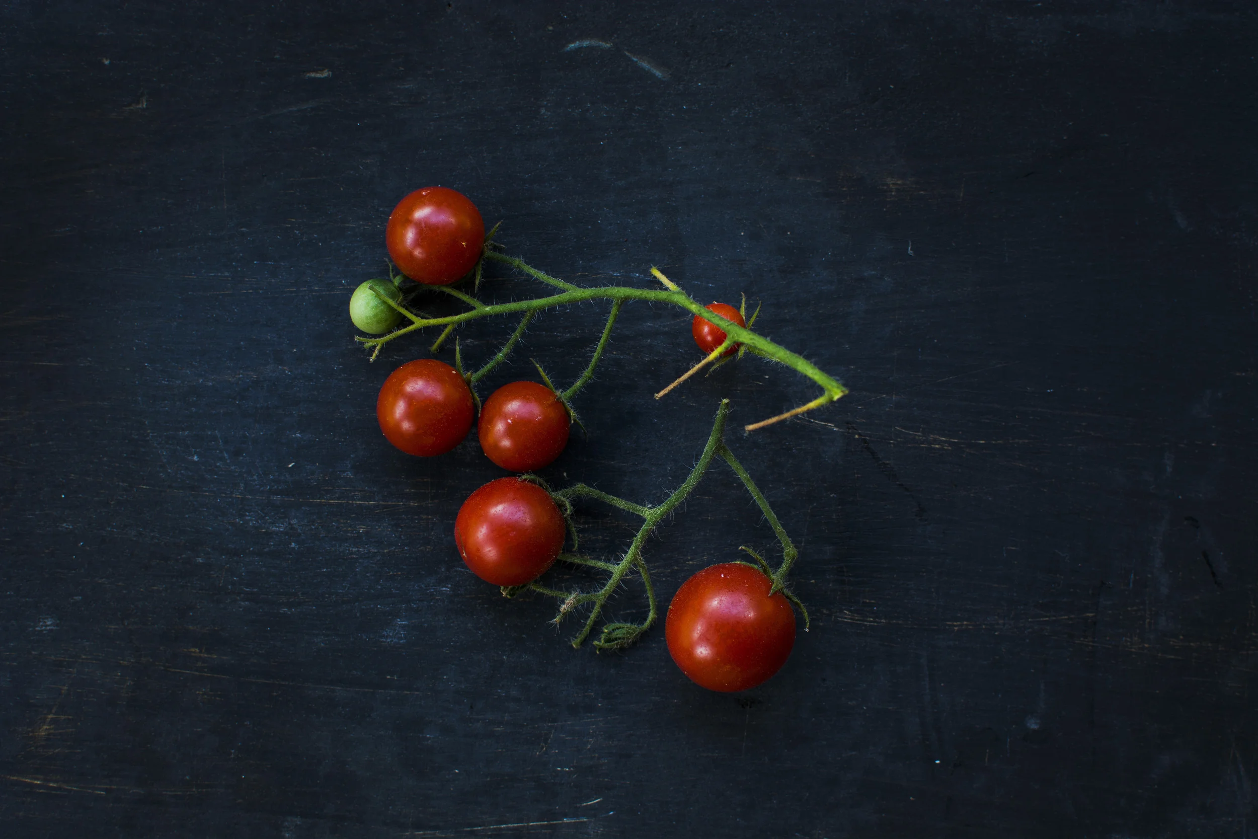 trogon_ingredientes2.jpg