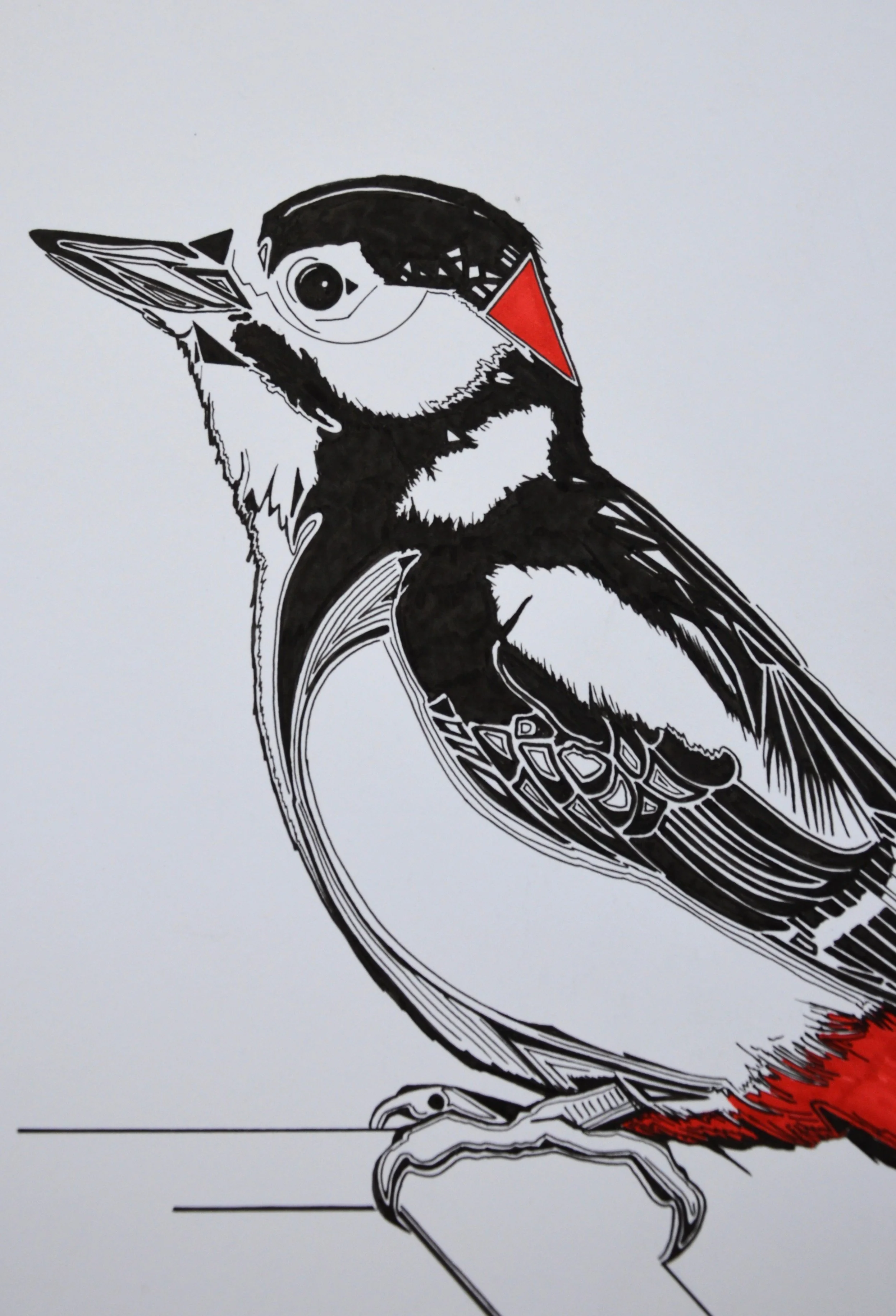 Woodpecker detail.JPG