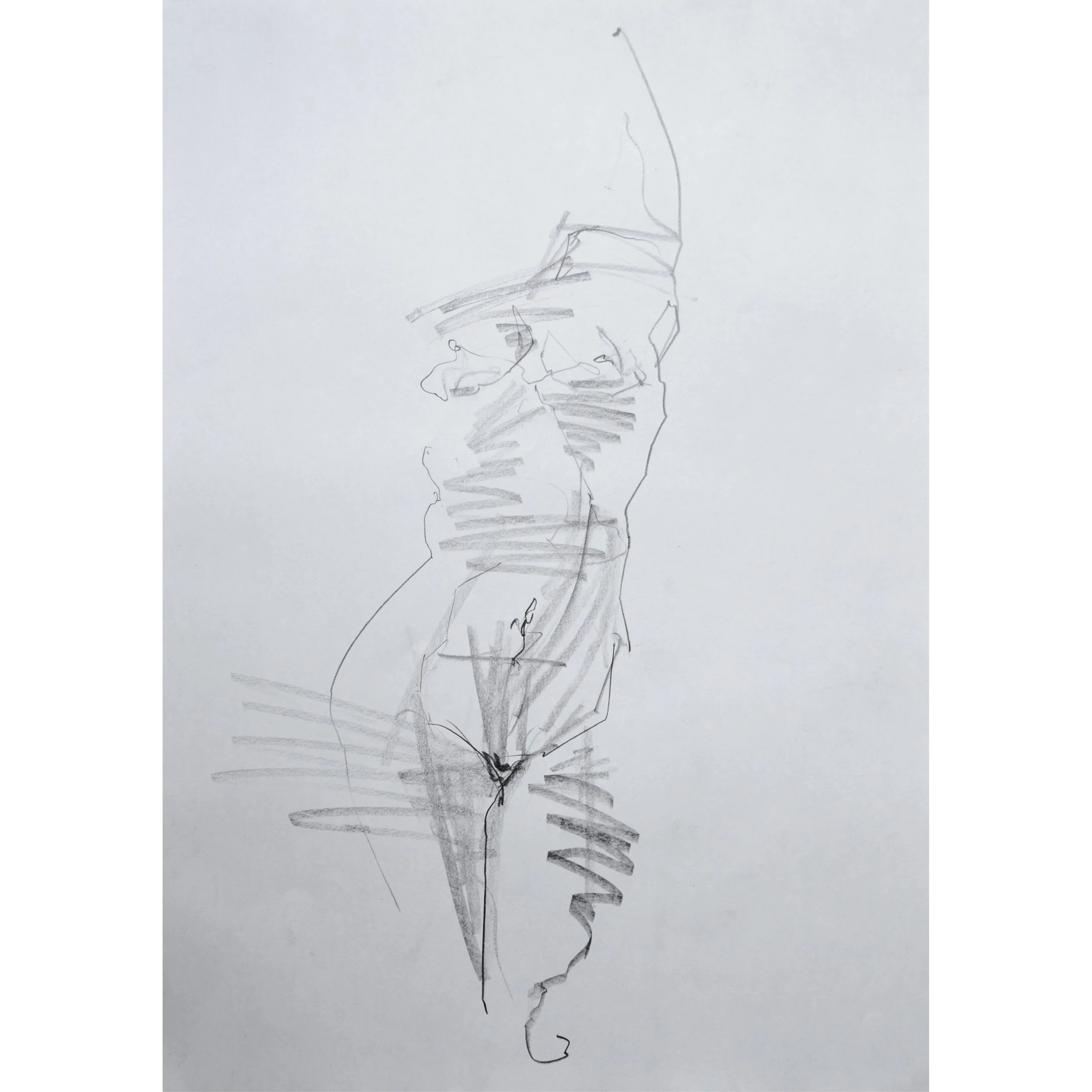 Female torso II sq.jpg