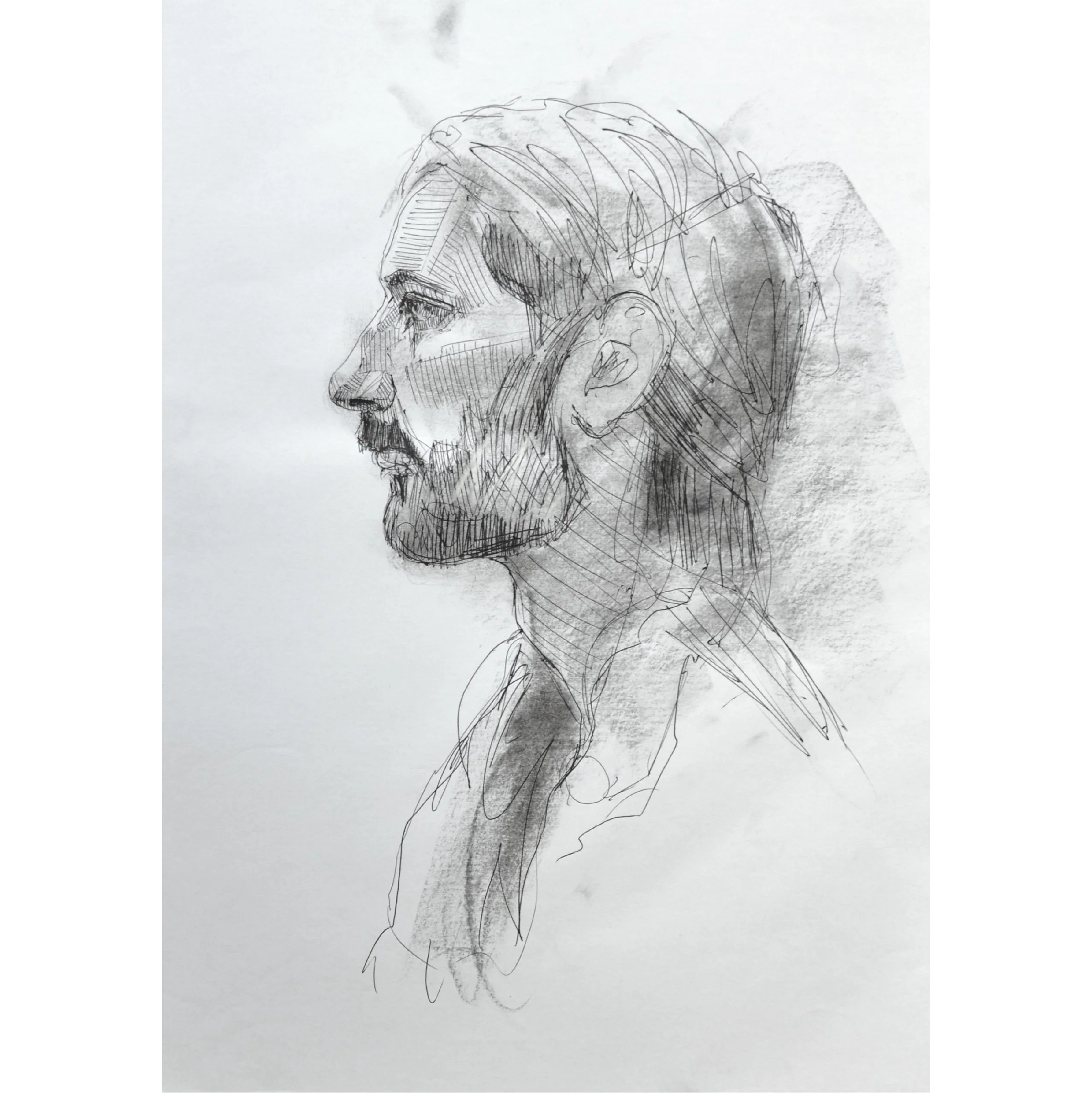 Sparrow portrait sq.jpg