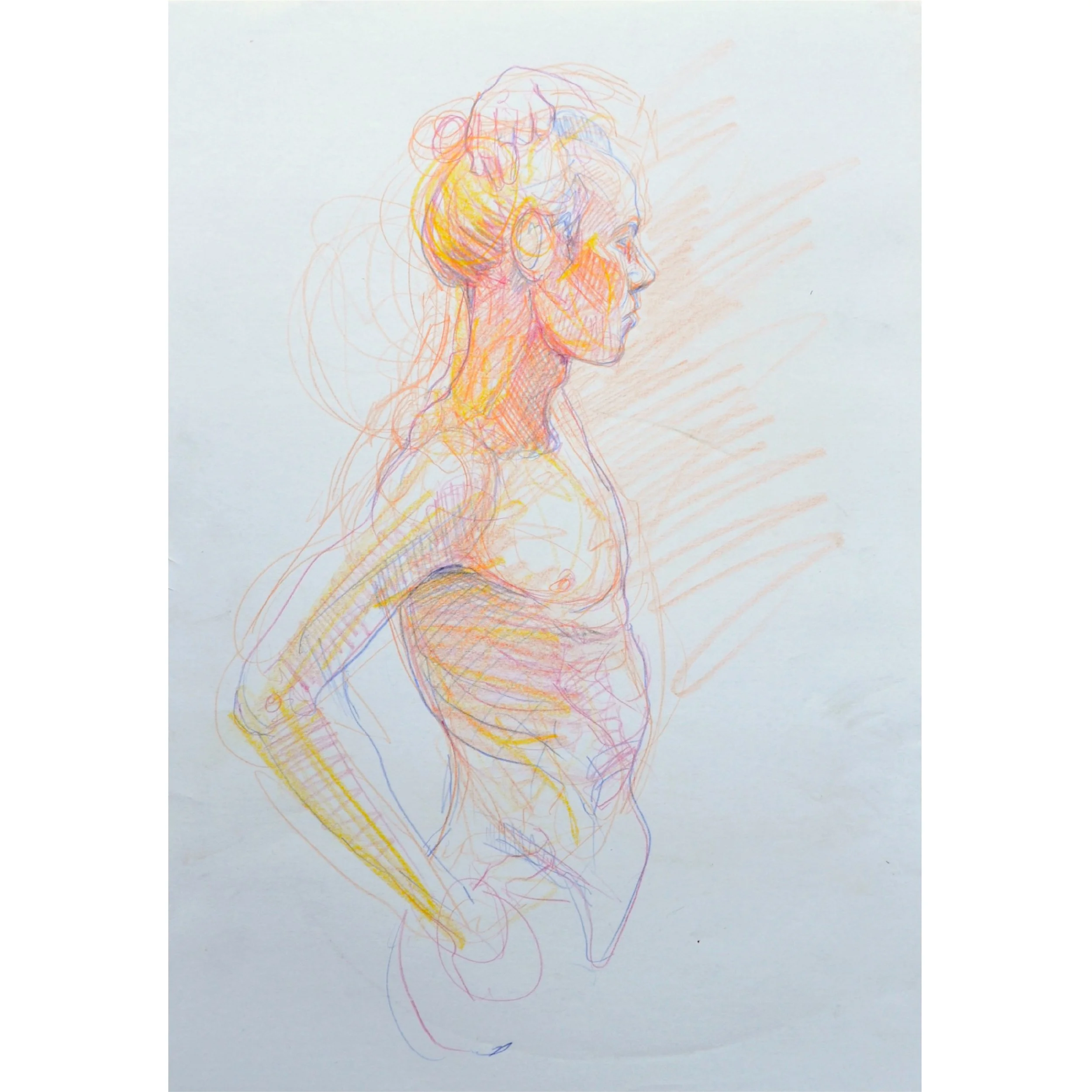 Adrian colour sq.jpg