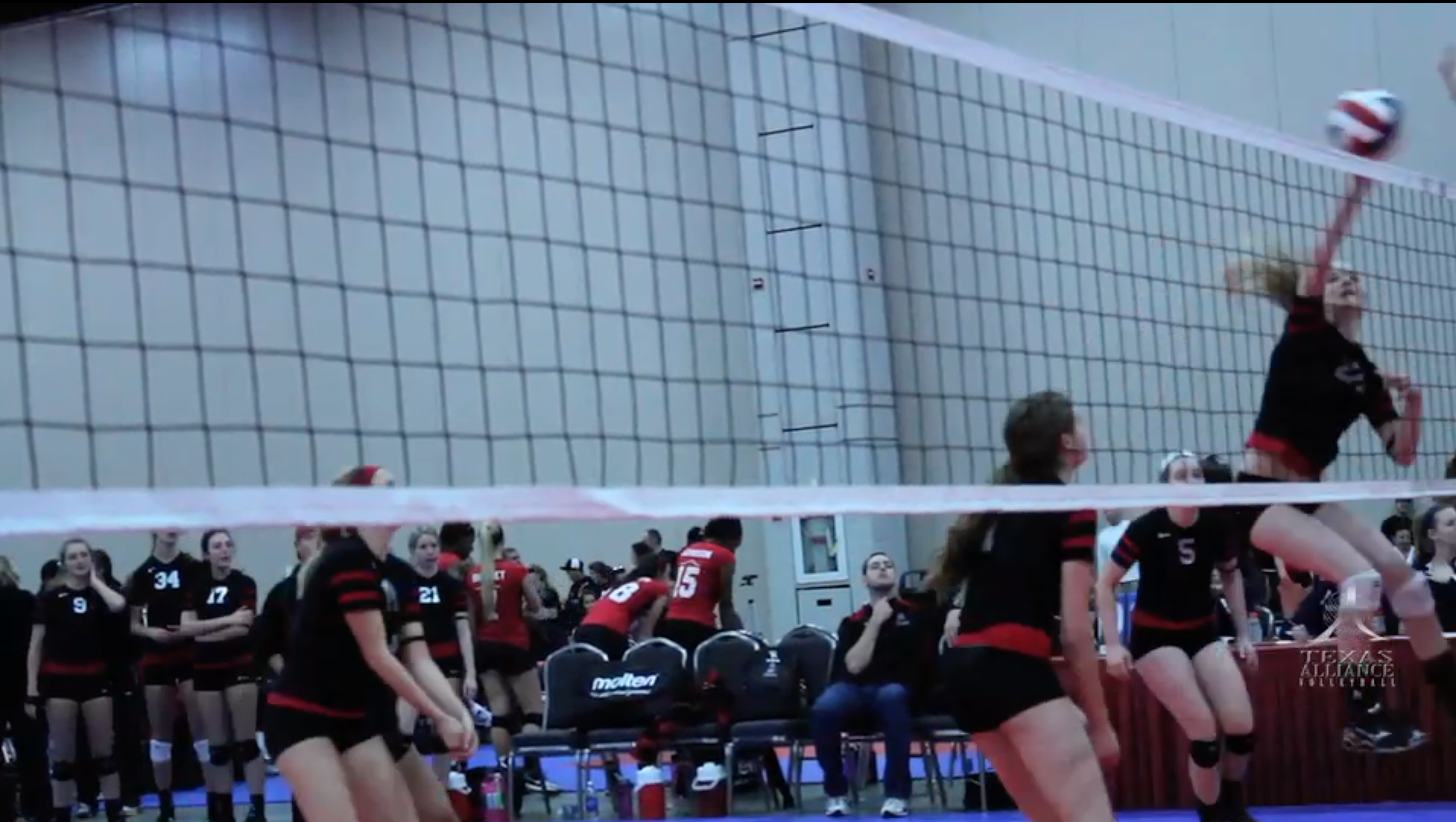 Screen Shot 2016-02-16 at 12.52.39 PM.png