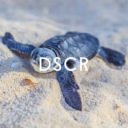 Secondary Financing 2@0,5x.jpg